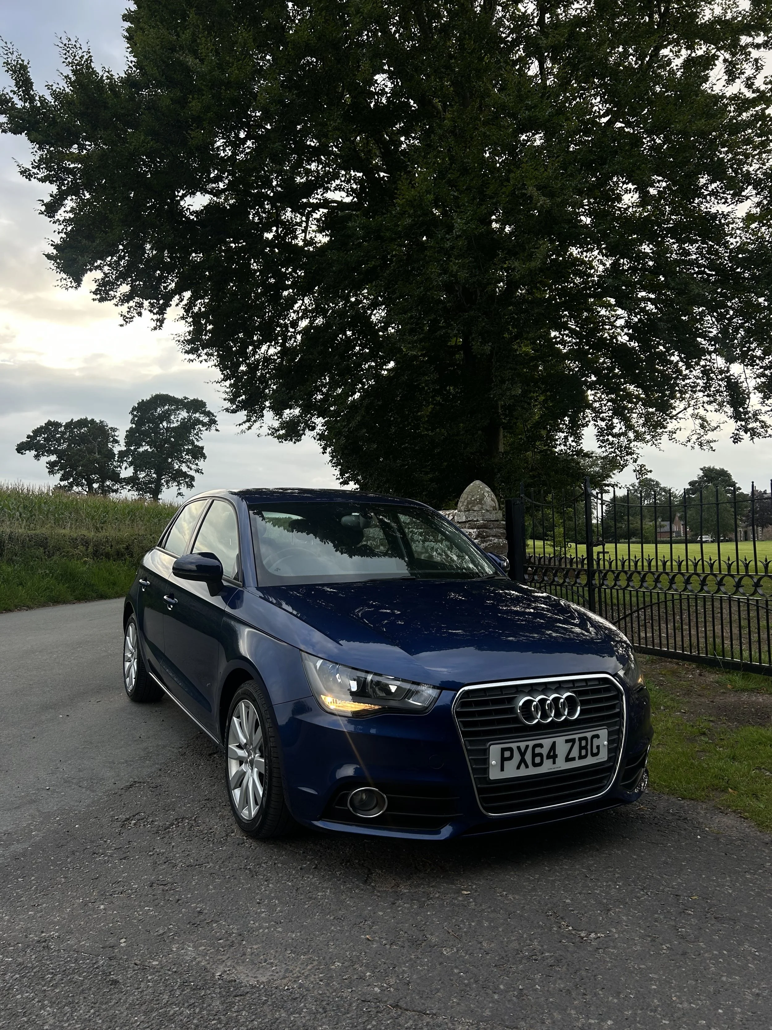 Dark blue Audi hatchback parked on a rural road with trees and a black iron fence in the background.