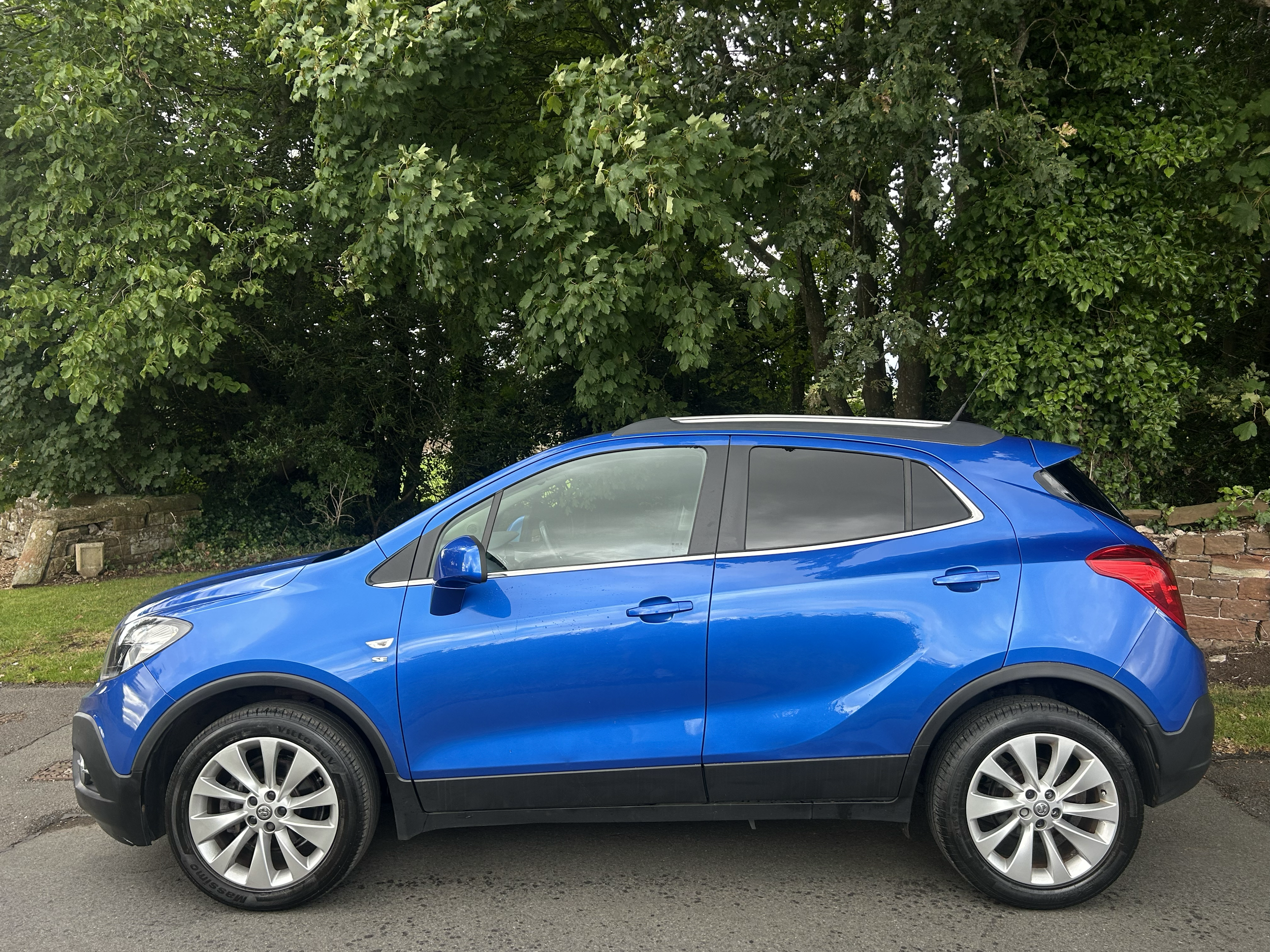 A blue compact SUV parked on the side of a street with trees and greenery in the background.