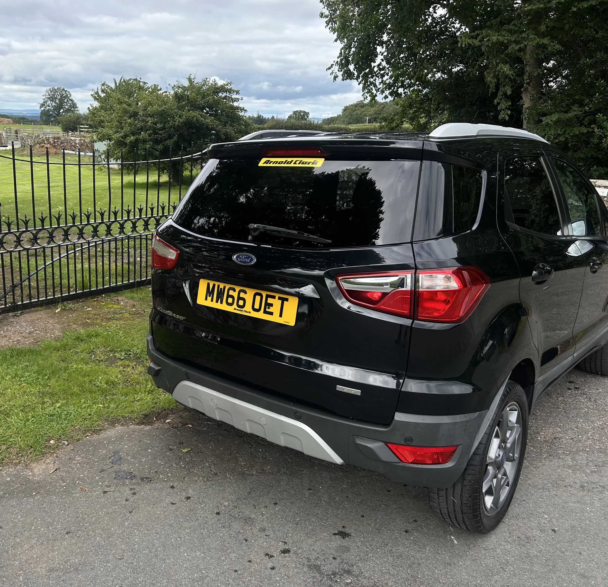 Black Ford SUV parked outdoors near a grassy area with a black metal fence, trees, and cloudy sky in the background. The vehicle has a yellow license plate and a yellow sticker on the back window reading 'Arnold Clark'.