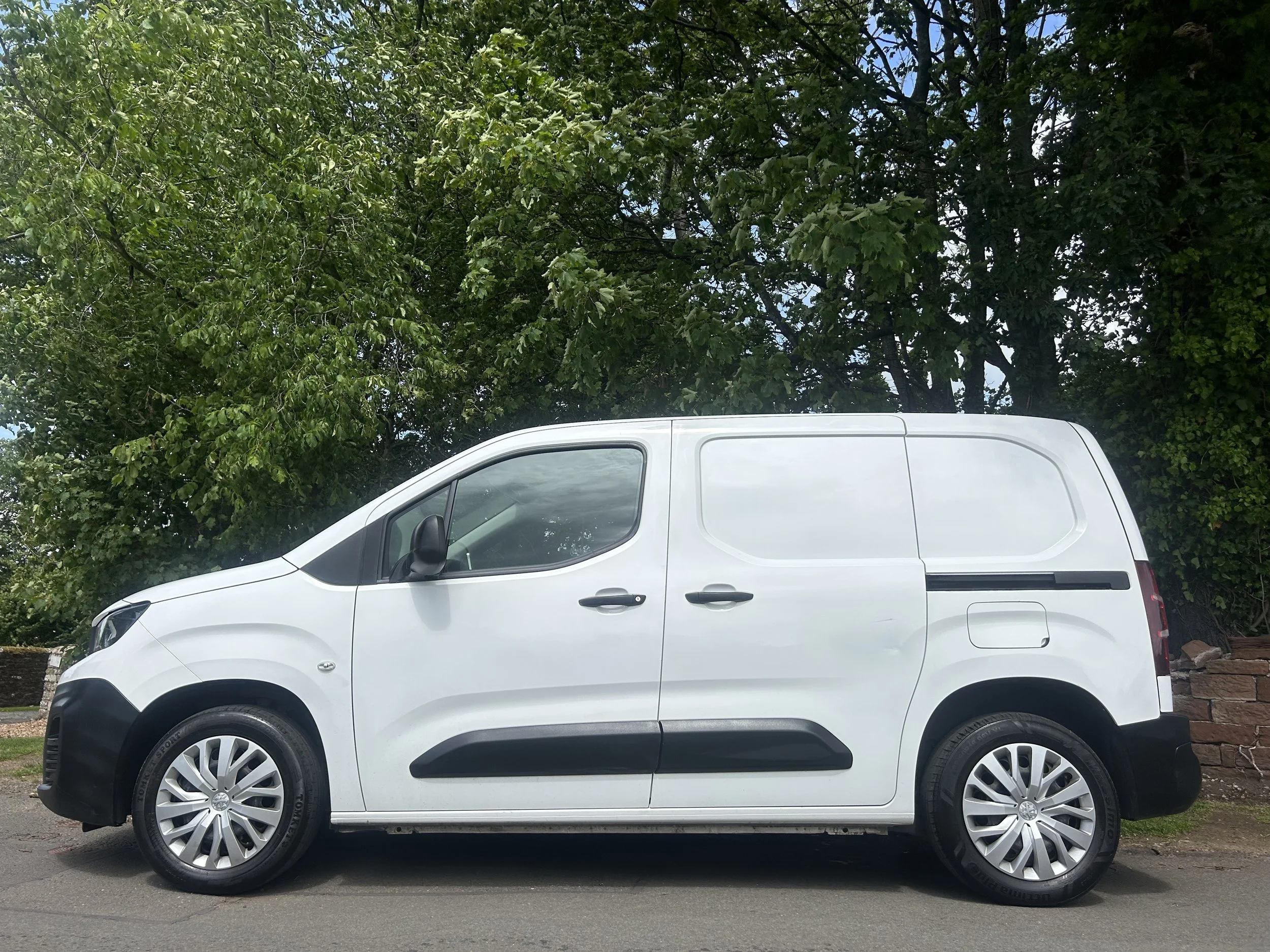 White cargo van parked on street with green trees in background.