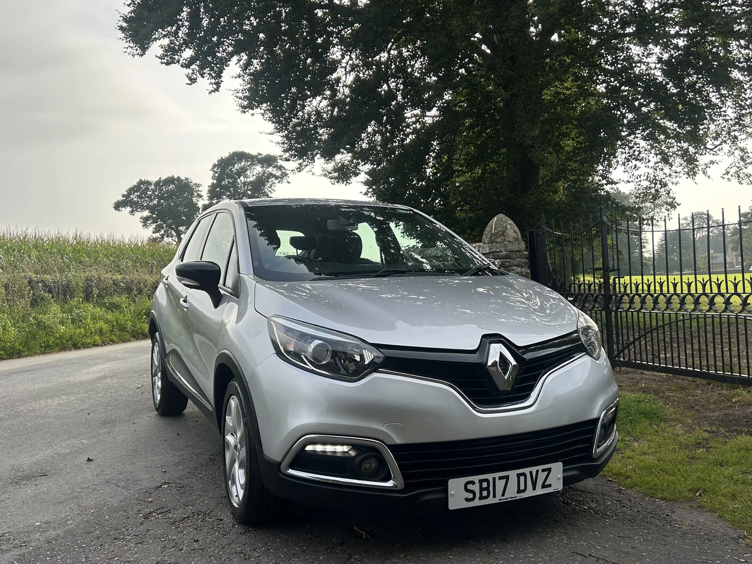 Silver Renault car parked on the side of a road near a black iron fence and large trees in the background.