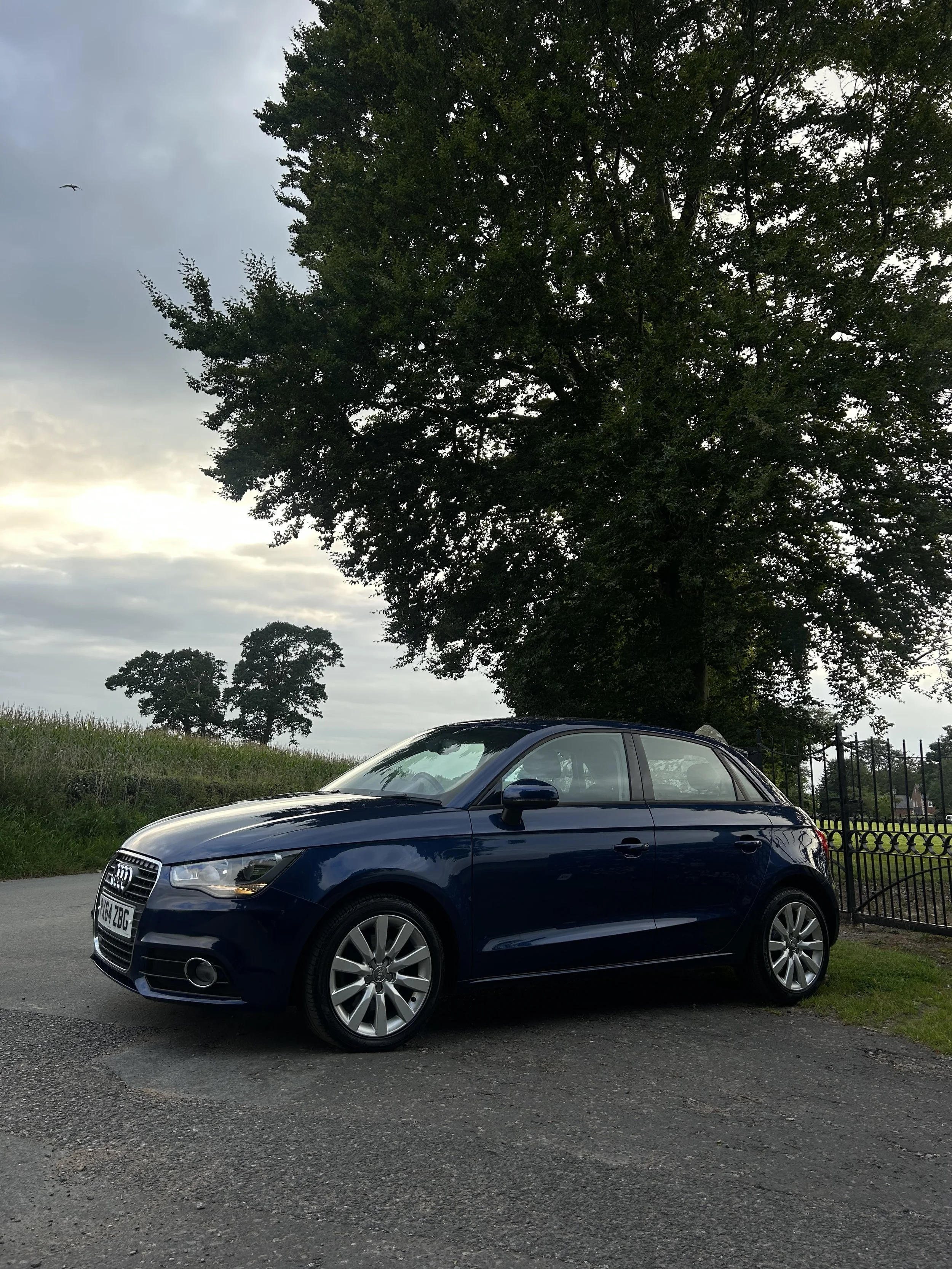 A dark blue Audi hatchback parked on a paved road next to a grassy area with a large tree in the background, overcast sky.