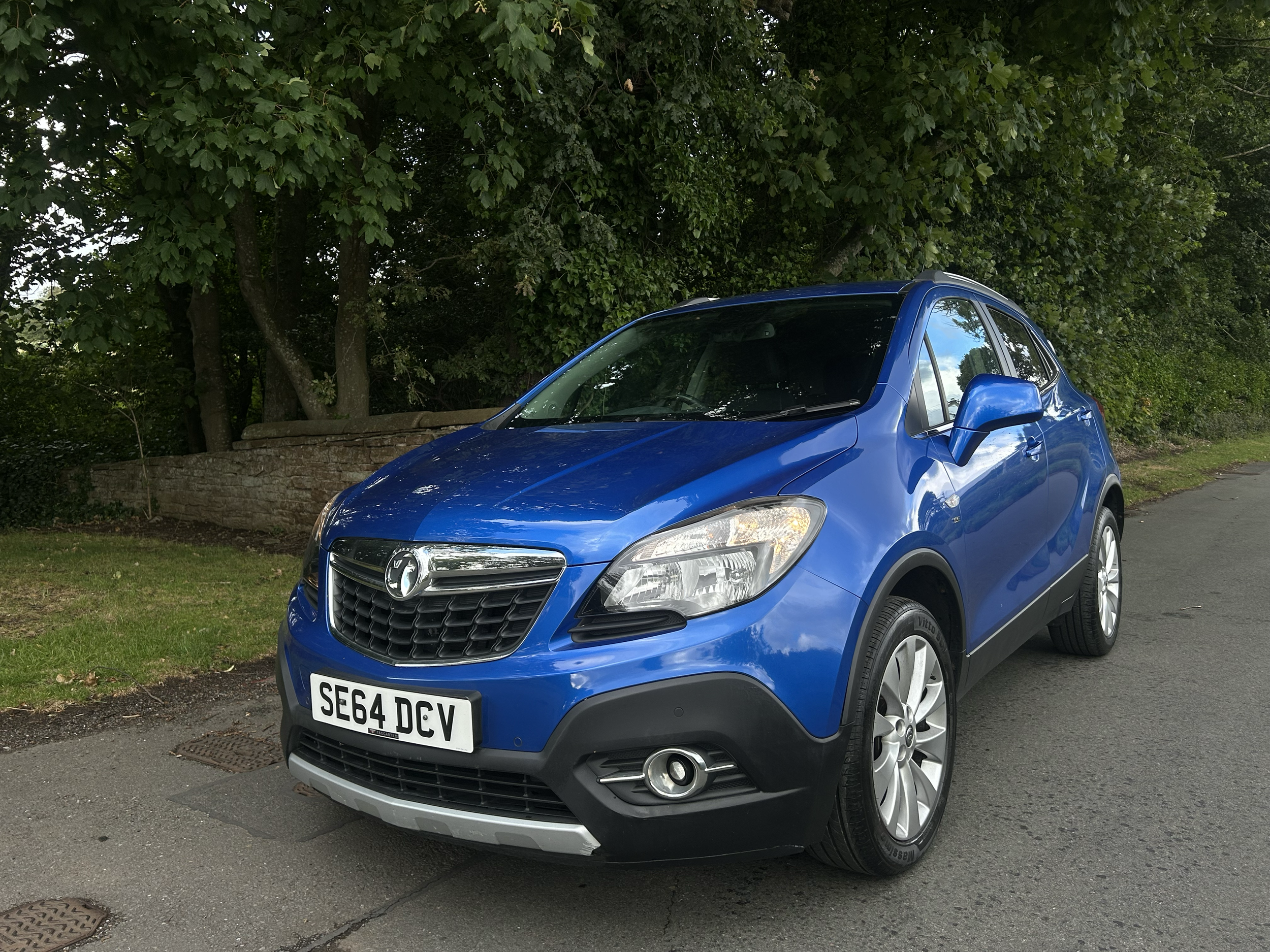 A blue compact SUV parked on a street with green trees and bushes in the background