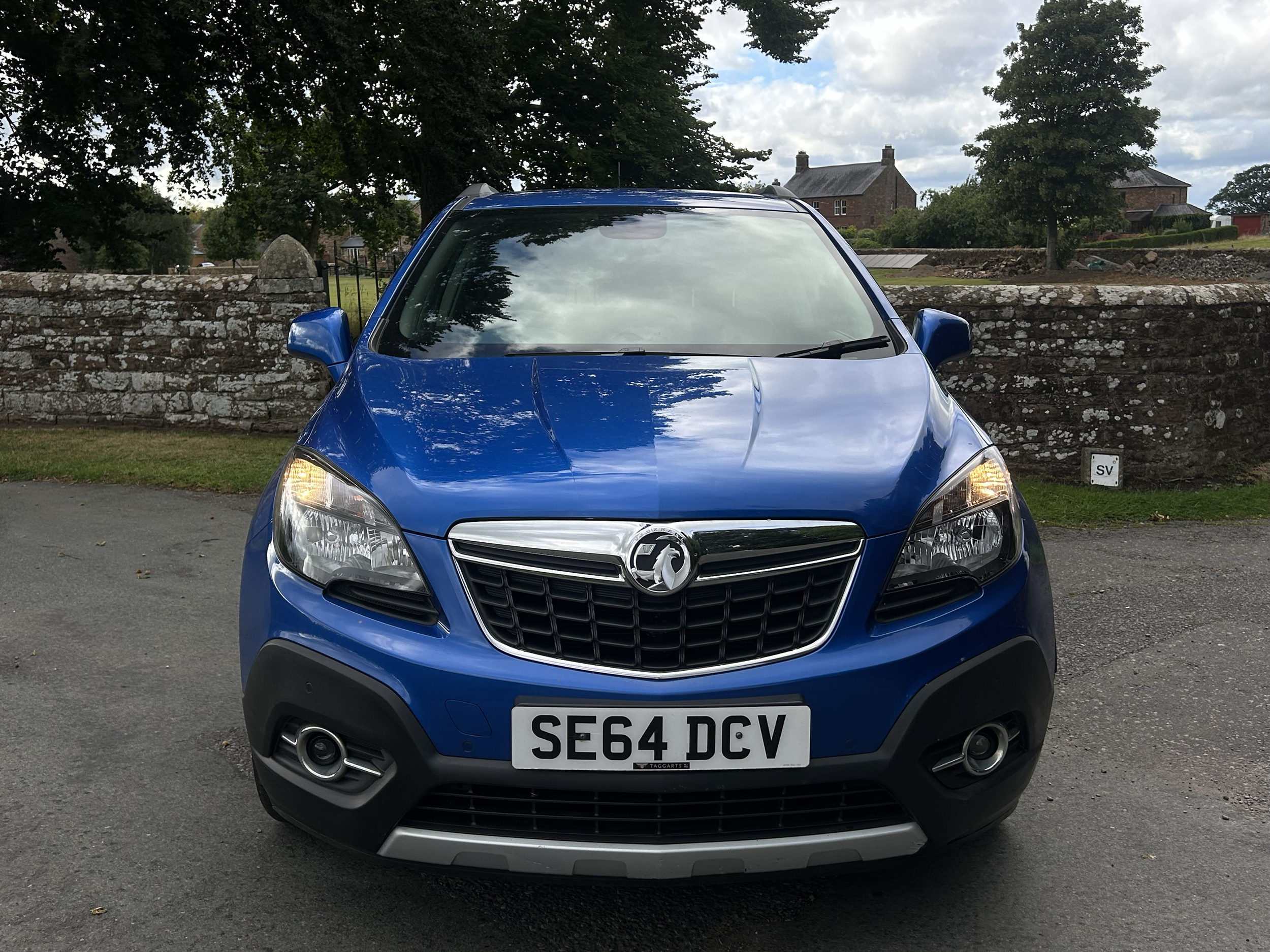 Front view of blue Vauxhall car parked on the street with a stone wall, trees, and houses in the background.