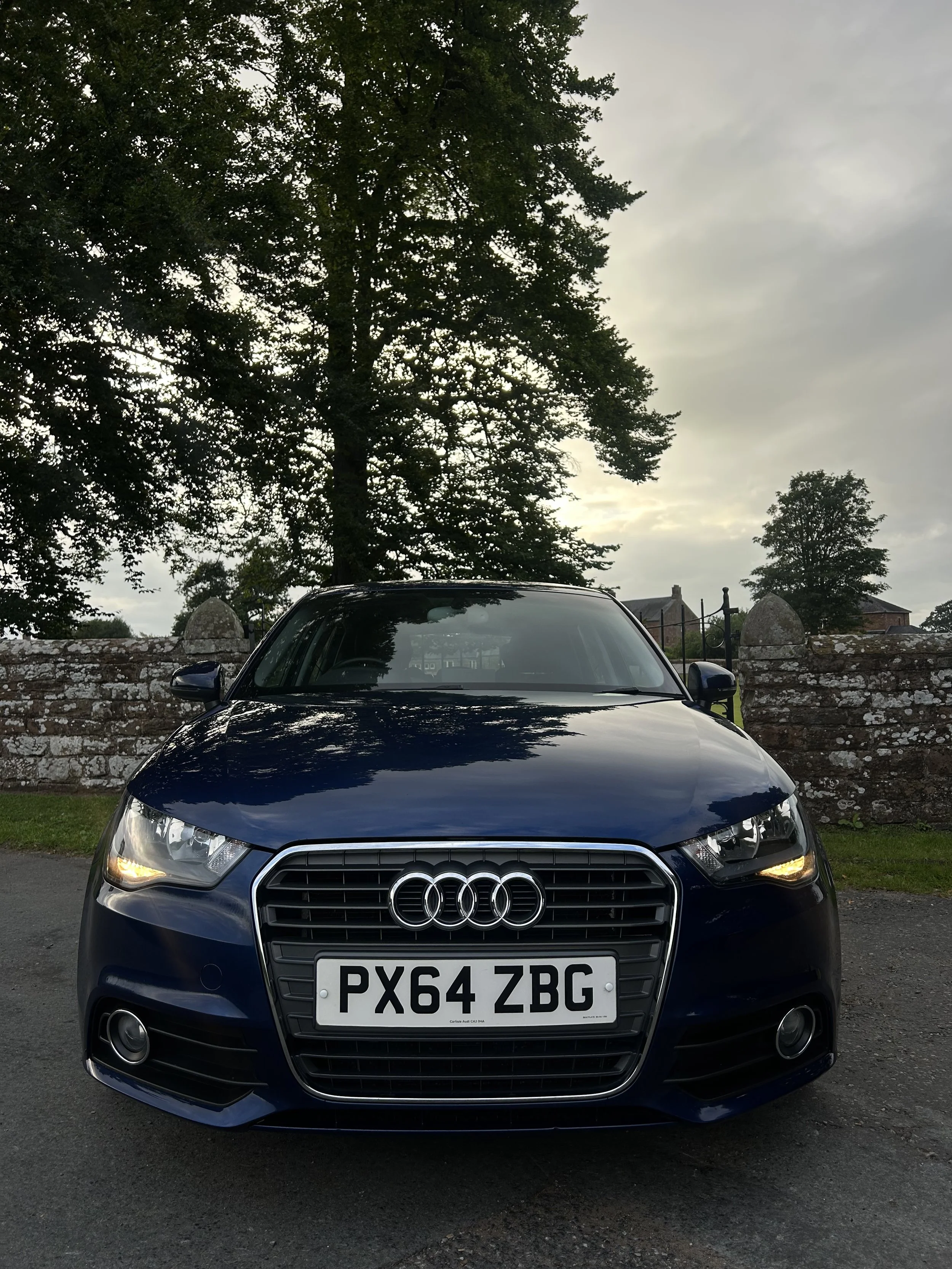 A front view of a dark blue Audi car parked outdoors with a stone wall and trees in the background during overcast weather.
