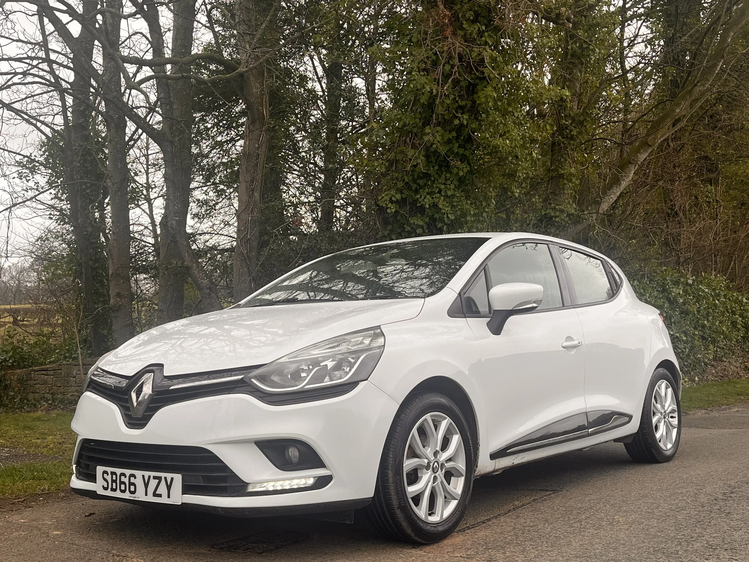 White Renault hatchback parked on a paved road with trees and bushes in the background.