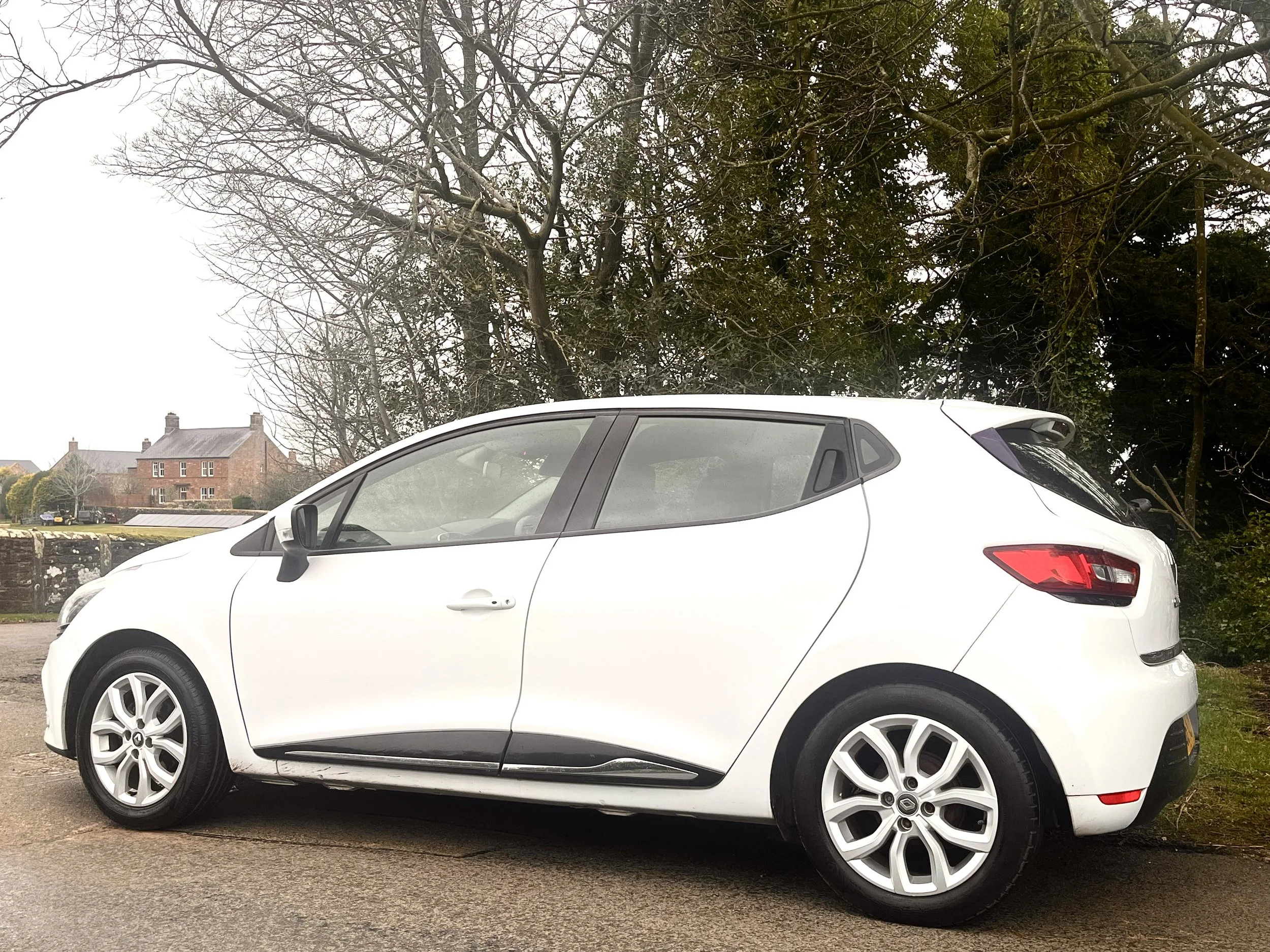 White hatchback car parked on a street with leafless trees and houses in the background.