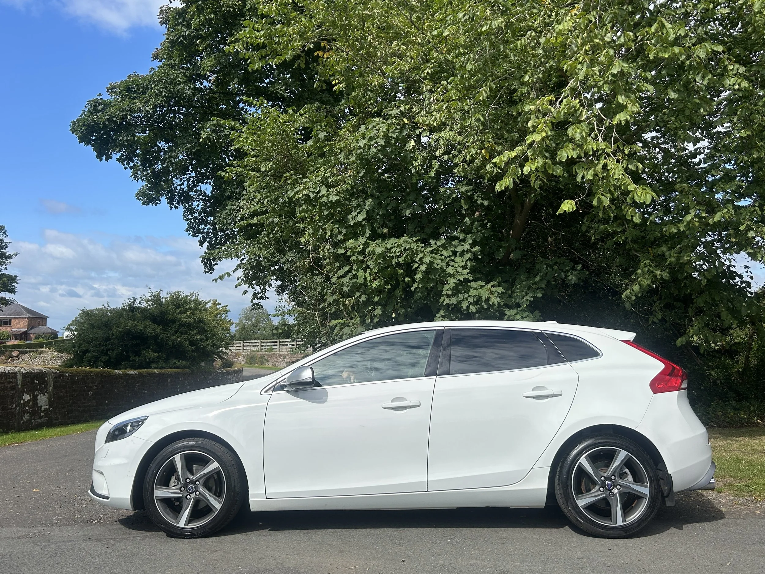 A white hatchback car parked on a paved road beside grass and trees, with a large leafy tree in the background and a house in the distance under a partly cloudy sky.