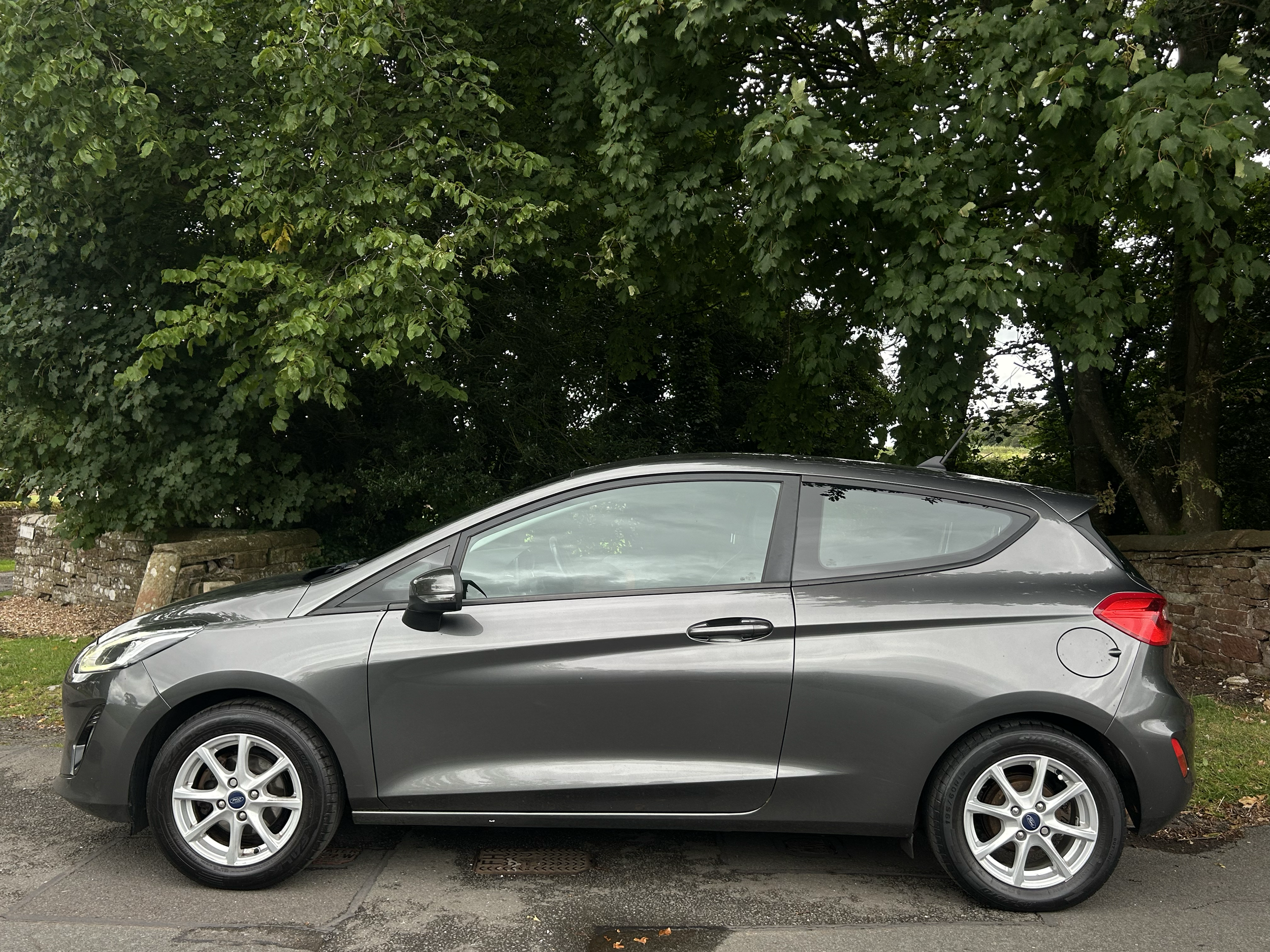 A silver car parked on the street in front of a large green tree with dense leaves and branches.