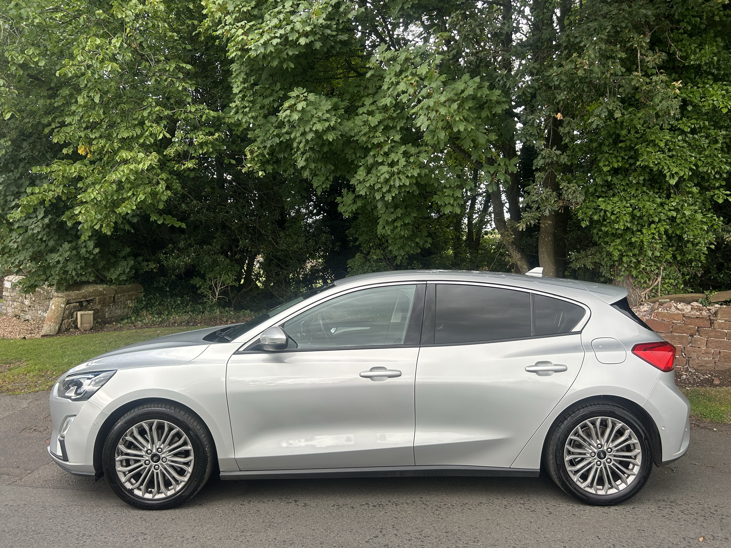 Side view of a silver sports car parked in front of a row of dense green trees.