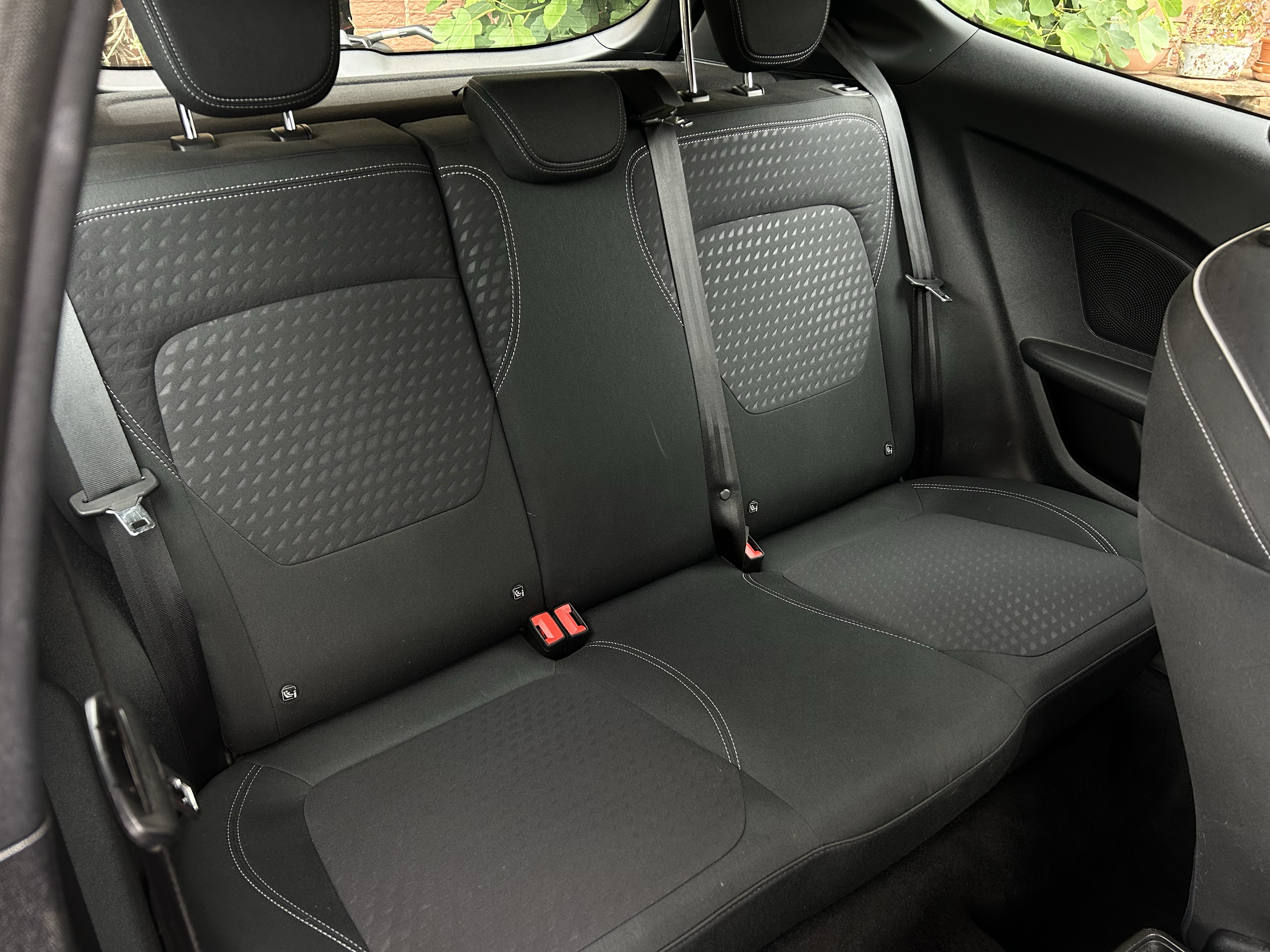 Back seat of a black car with the headrests and seat belts visible, with green plants outside the window.