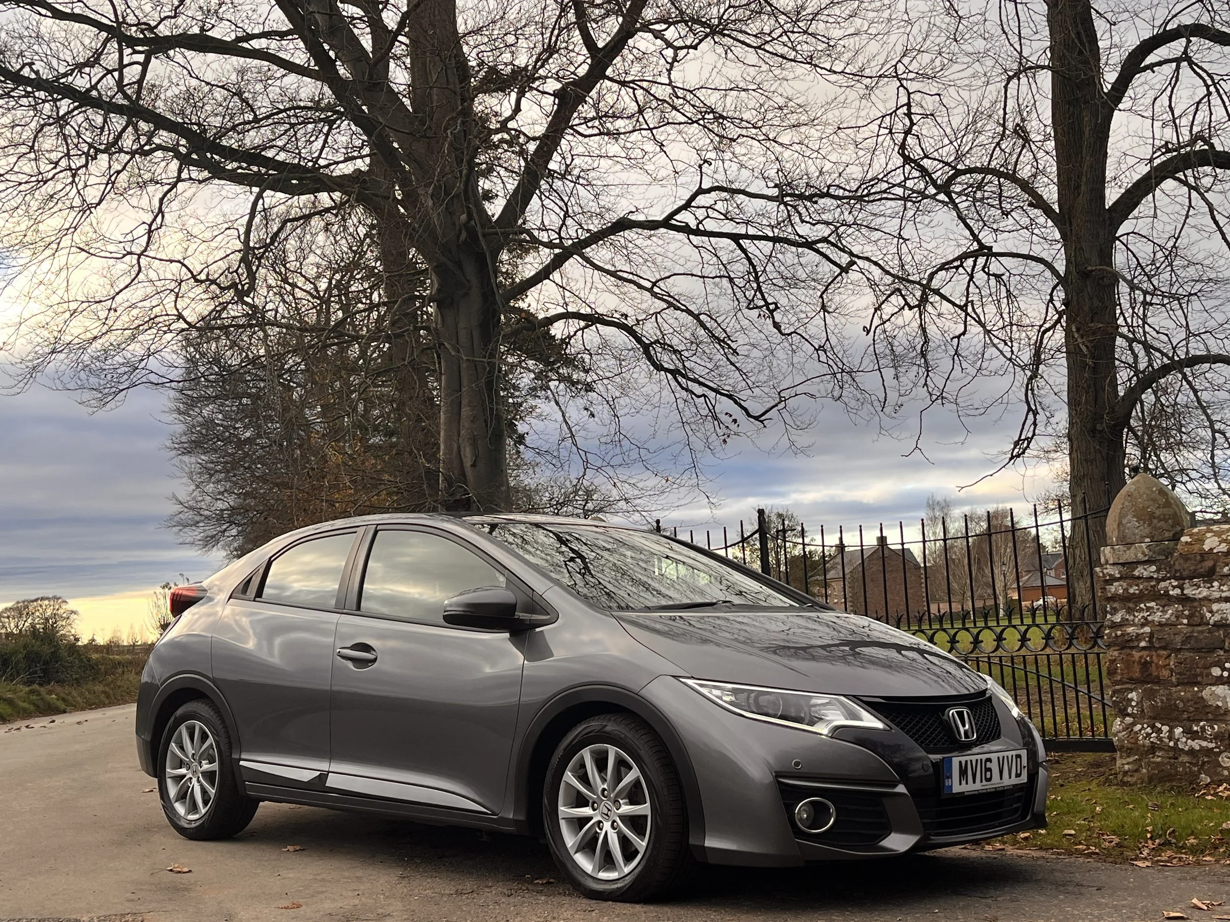 A gray Honda Civic parked on a driveway near a large leafless tree and a black wrought iron gate on a cloudy day.