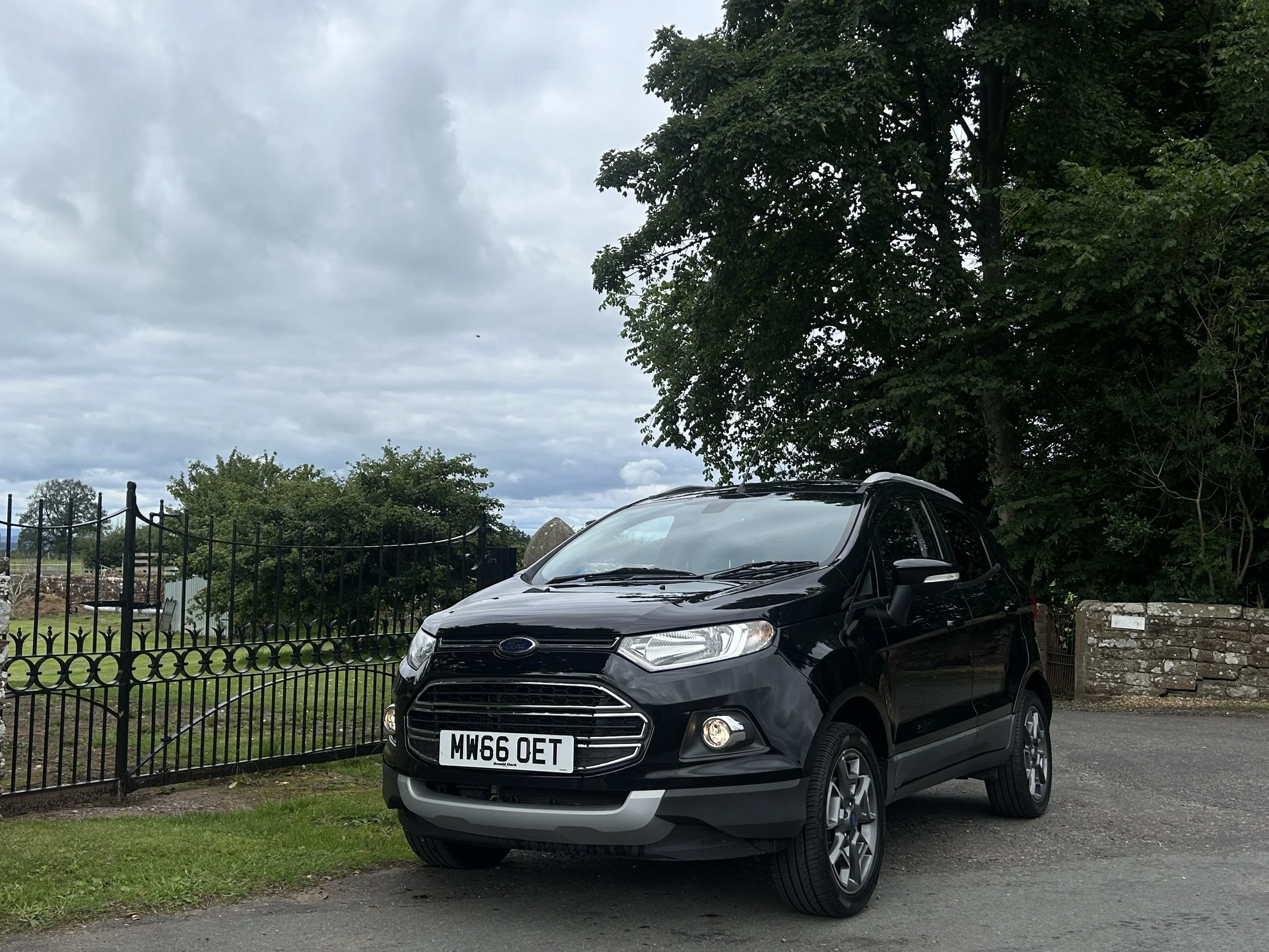 Black Ford EcoSport parked on a paved road next to a black wrought iron fence with green trees and cloudy sky in the background.
