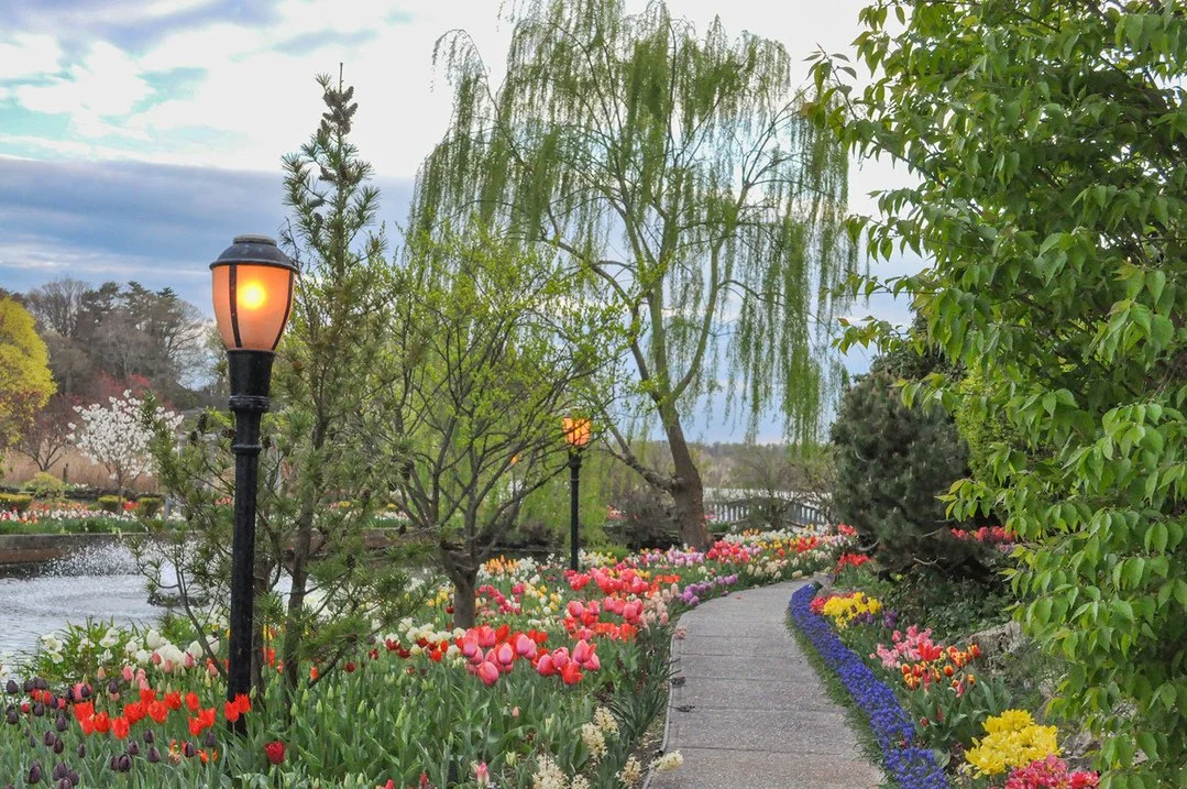 A blooming garden path with warm lamplight, representing the healing journey in trauma therapy with Dr. Gulshan Psychology in New York.