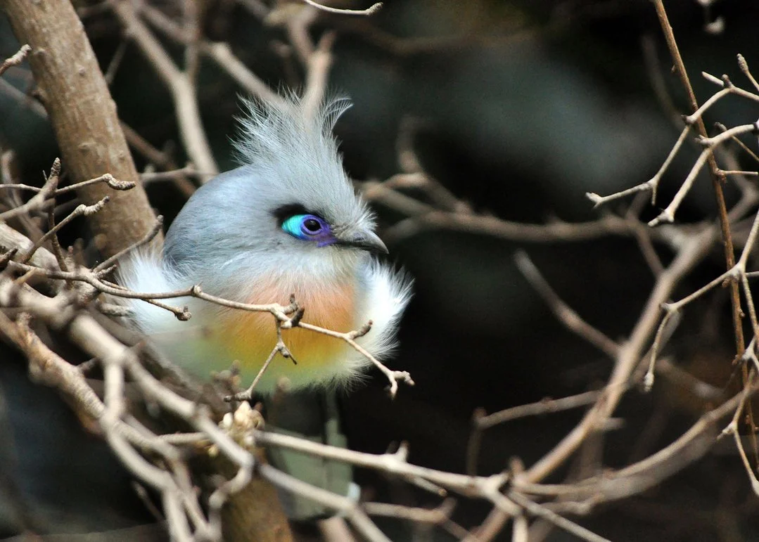 You Can’t Rest. Even When Nothing Is Wrong. Here’s Why.