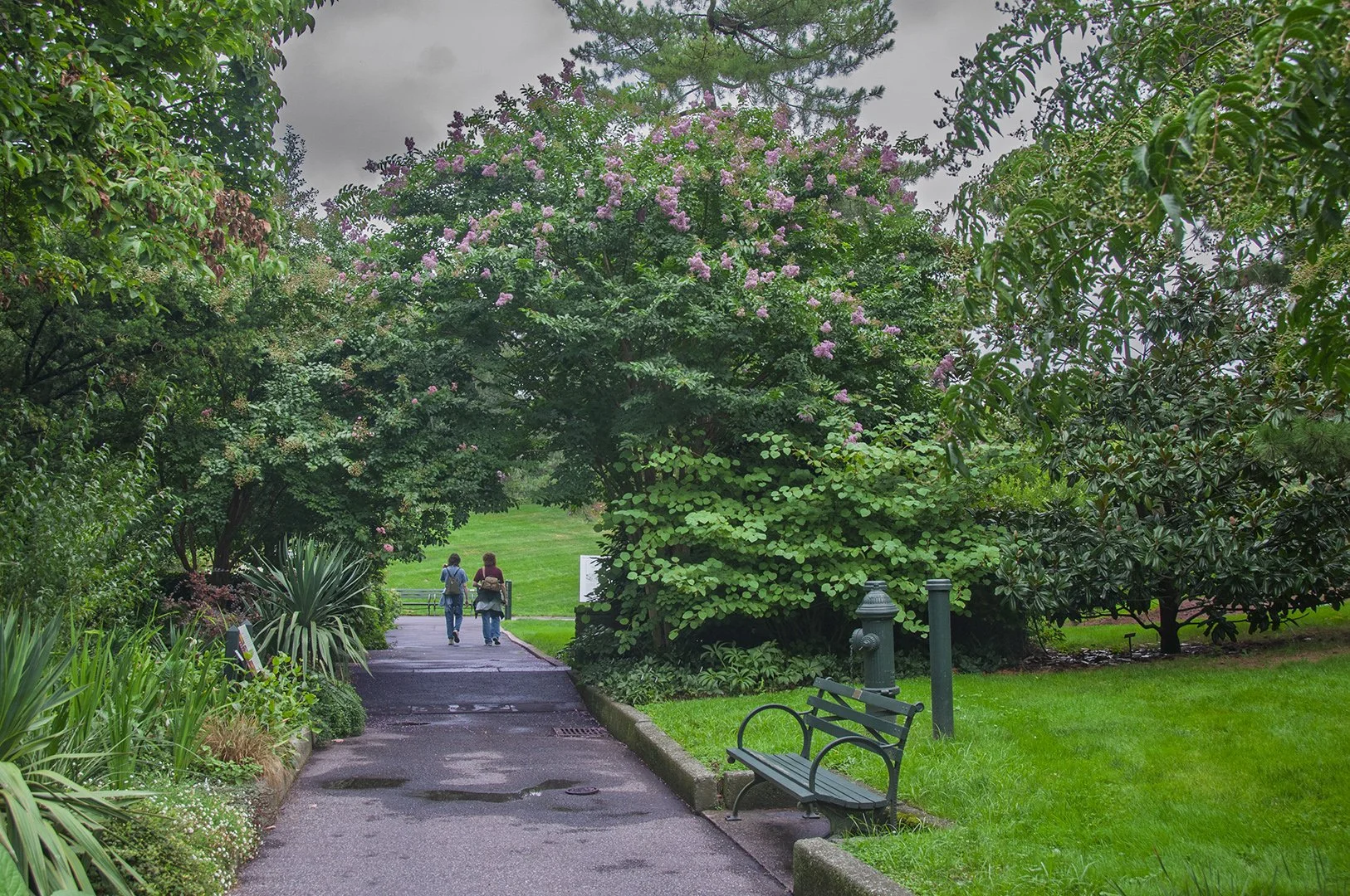 Walk Along the Garden Path