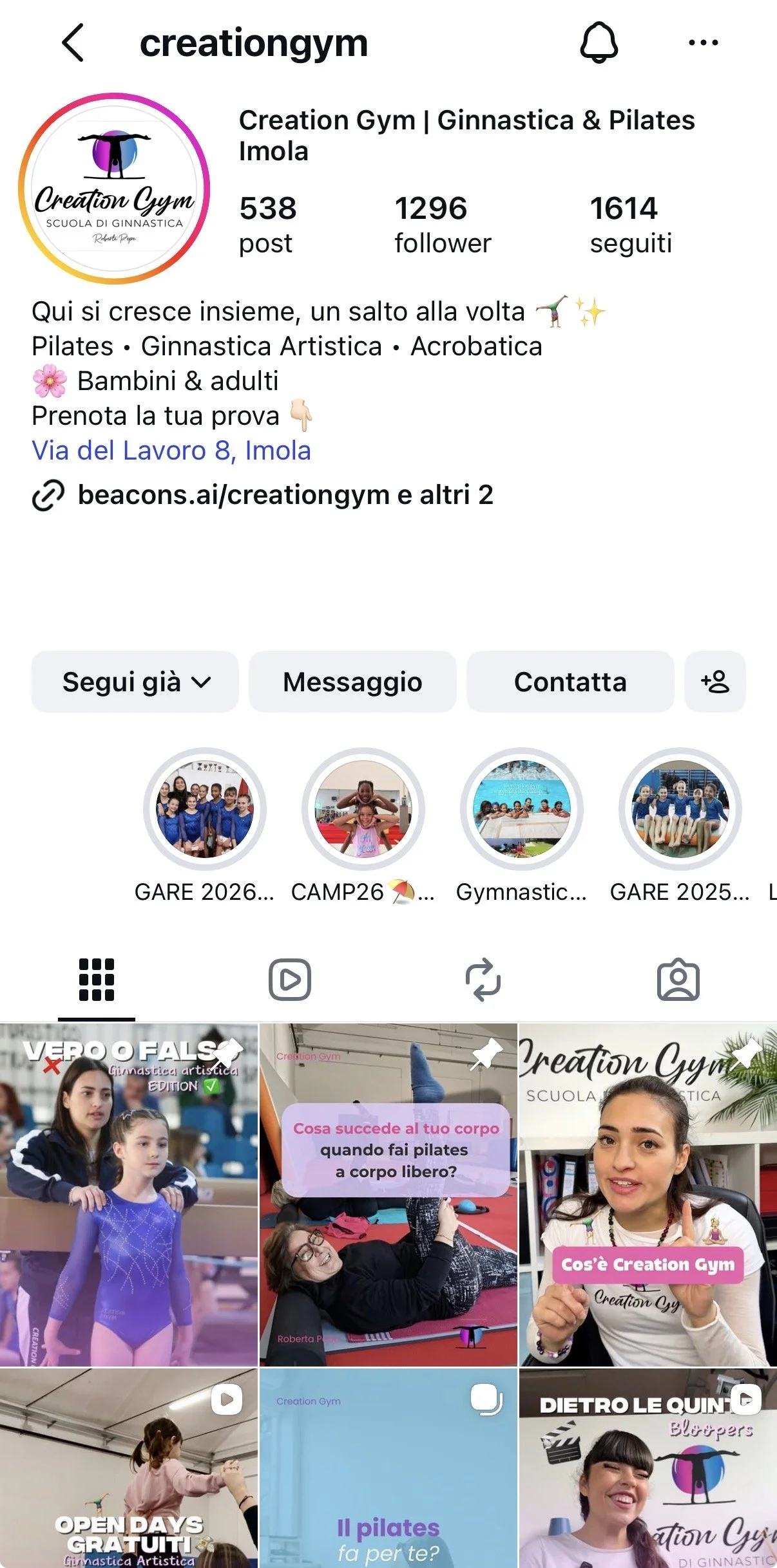 Feed Instagram
