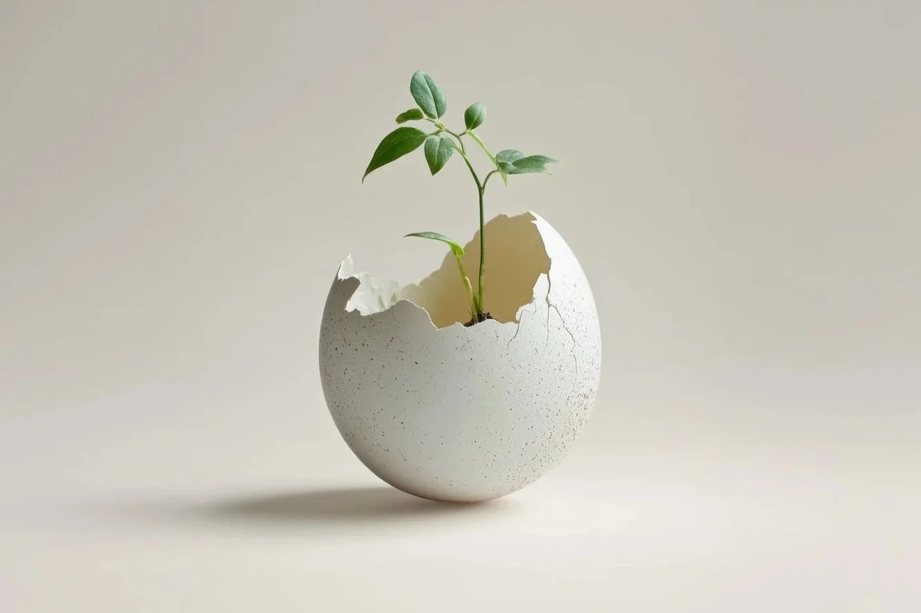 A sprout grows upwards out of a cracked eggshell