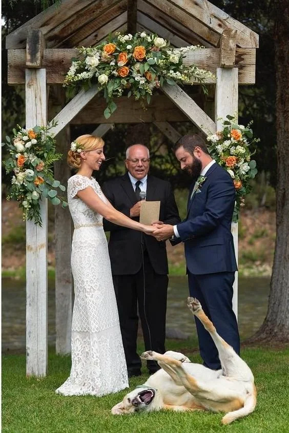 Puppy Love at Weddings