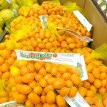 The Local Favorite’s for Gifts &amp; Favors