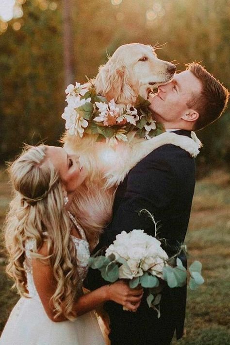 Paws-itively Cute Pet Wedding Ideas