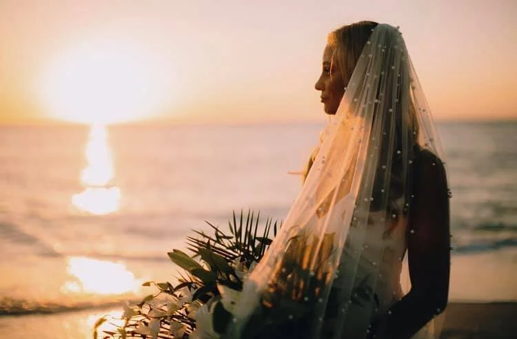 Swanky Spotlight – Sims Wedding