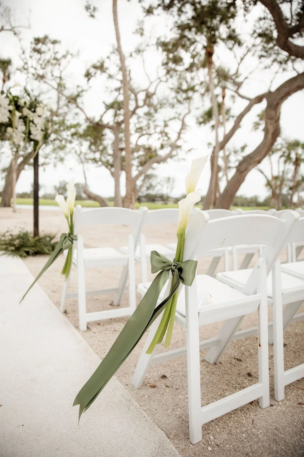 552294617_1369708481823342_4121034897263552894_n (1).jpg