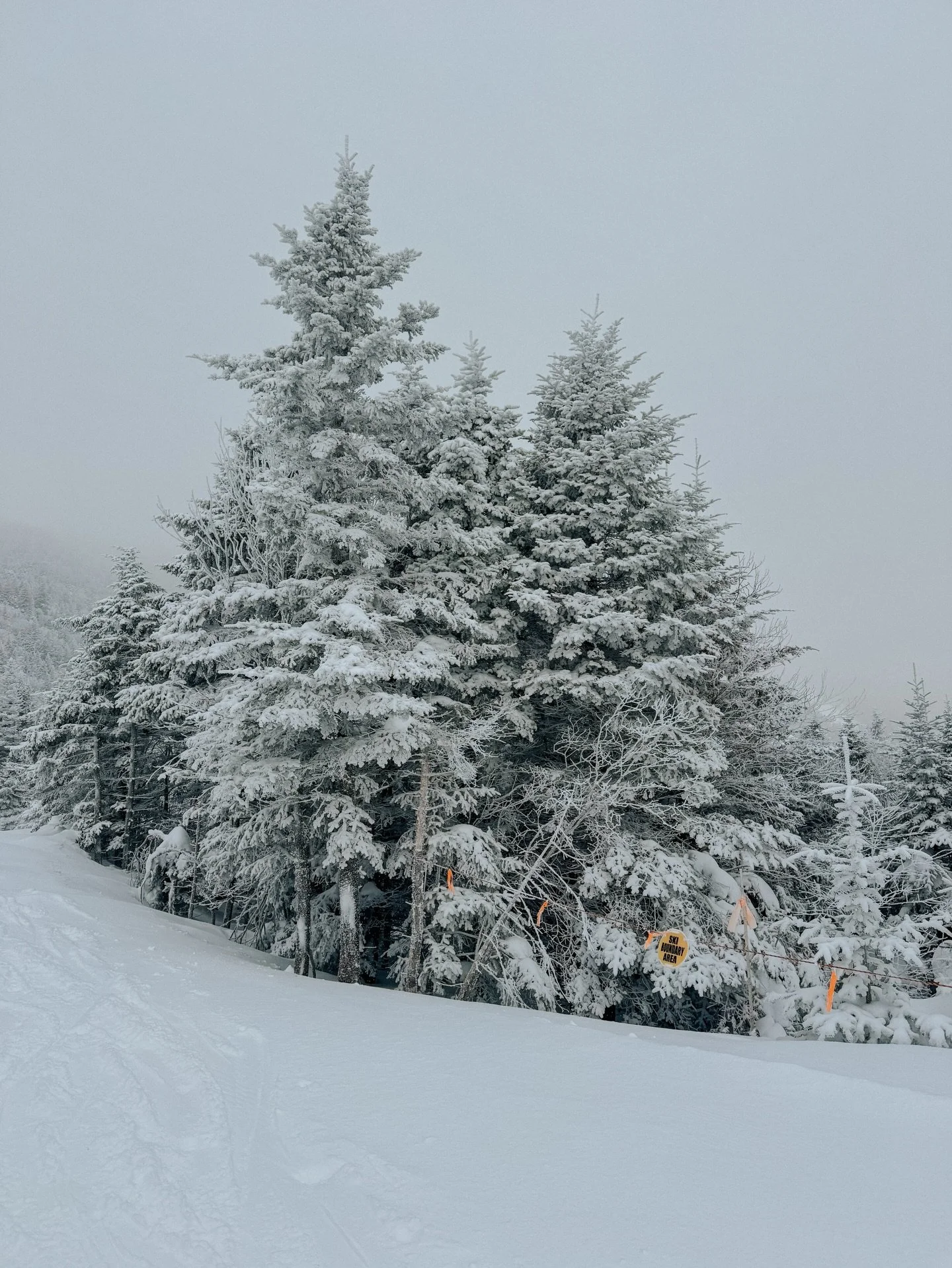 winter in Vermont🧡