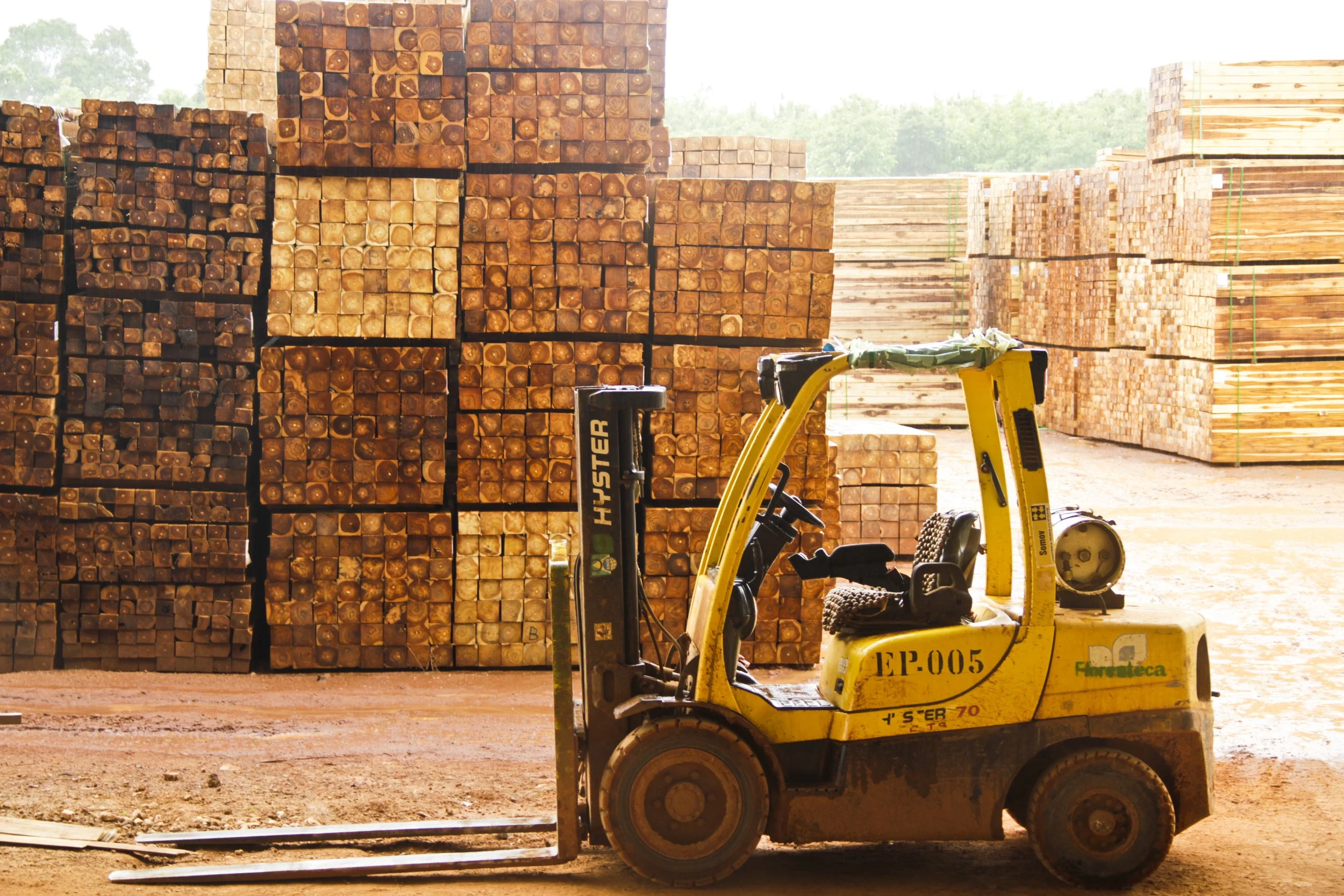 Forklift near stacks of timber logs in a lumber yard