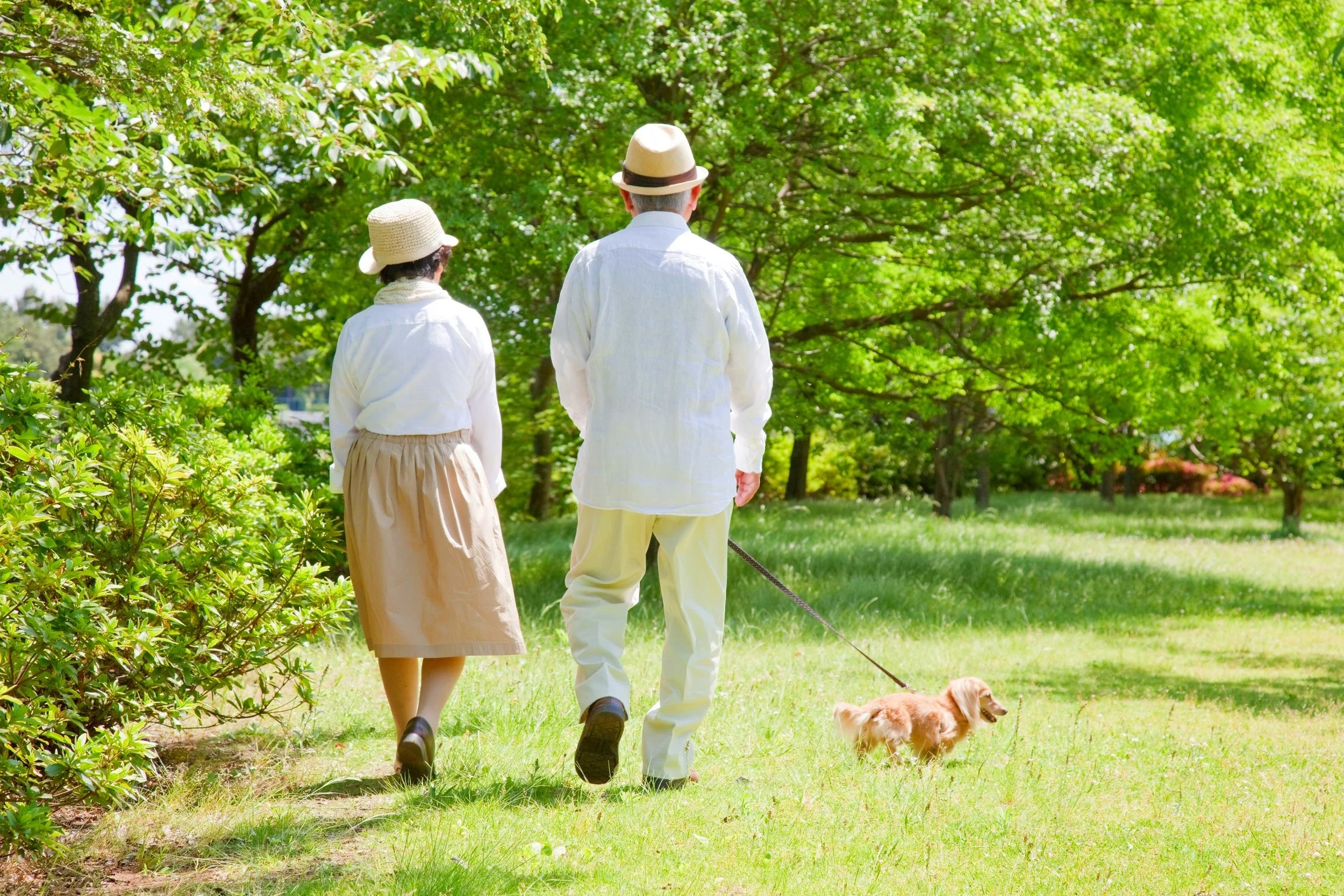 Older+couple+walking+dachsund_iStock-105556828.jpg