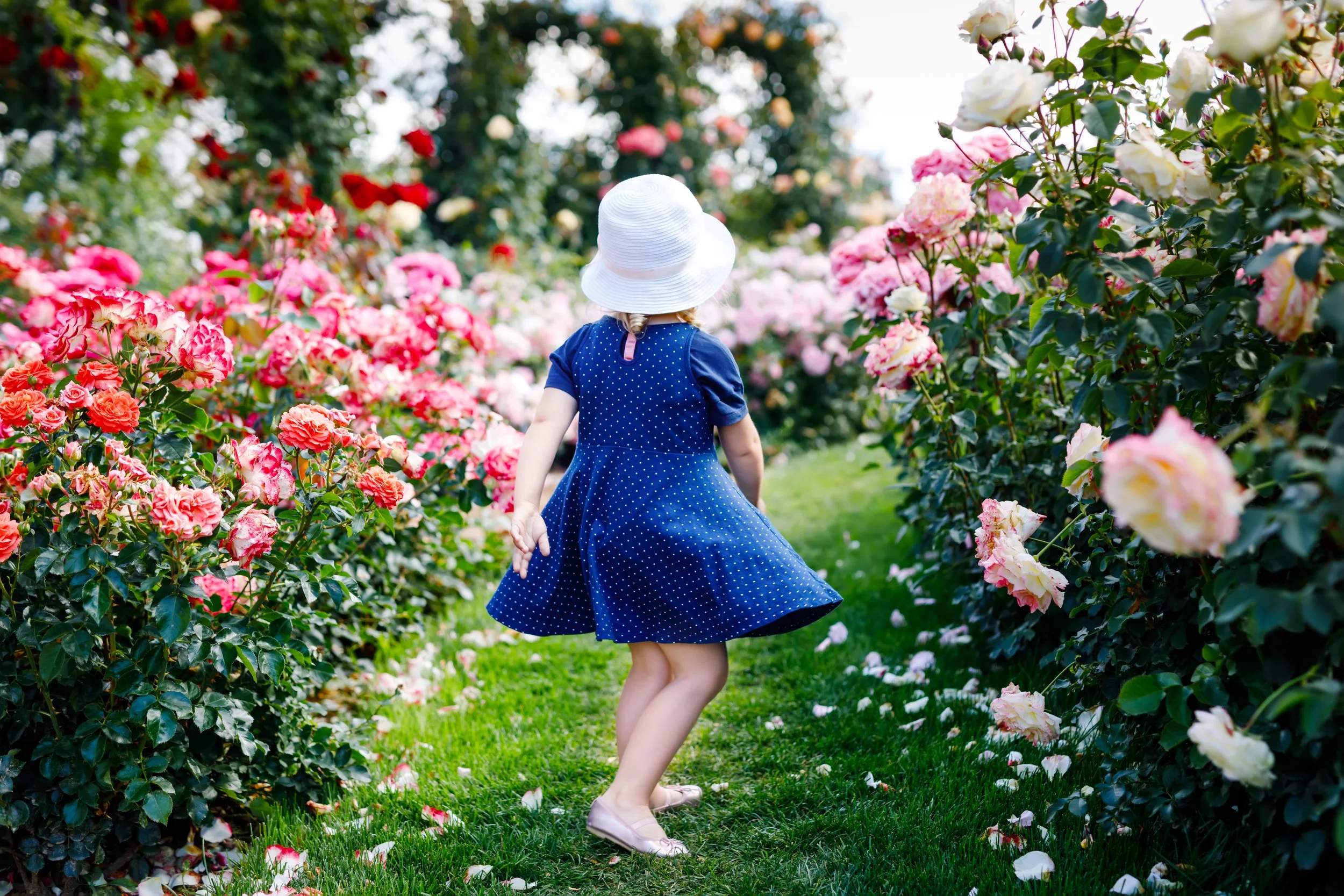 Girl in rose garden turning_iStock-1255991620.jpeg