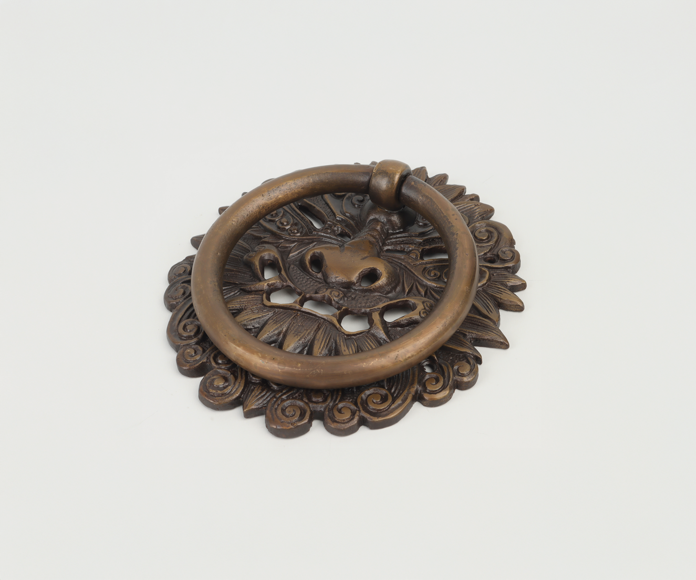Decorative bronze door knocker with a lion's head design and ornate floral background