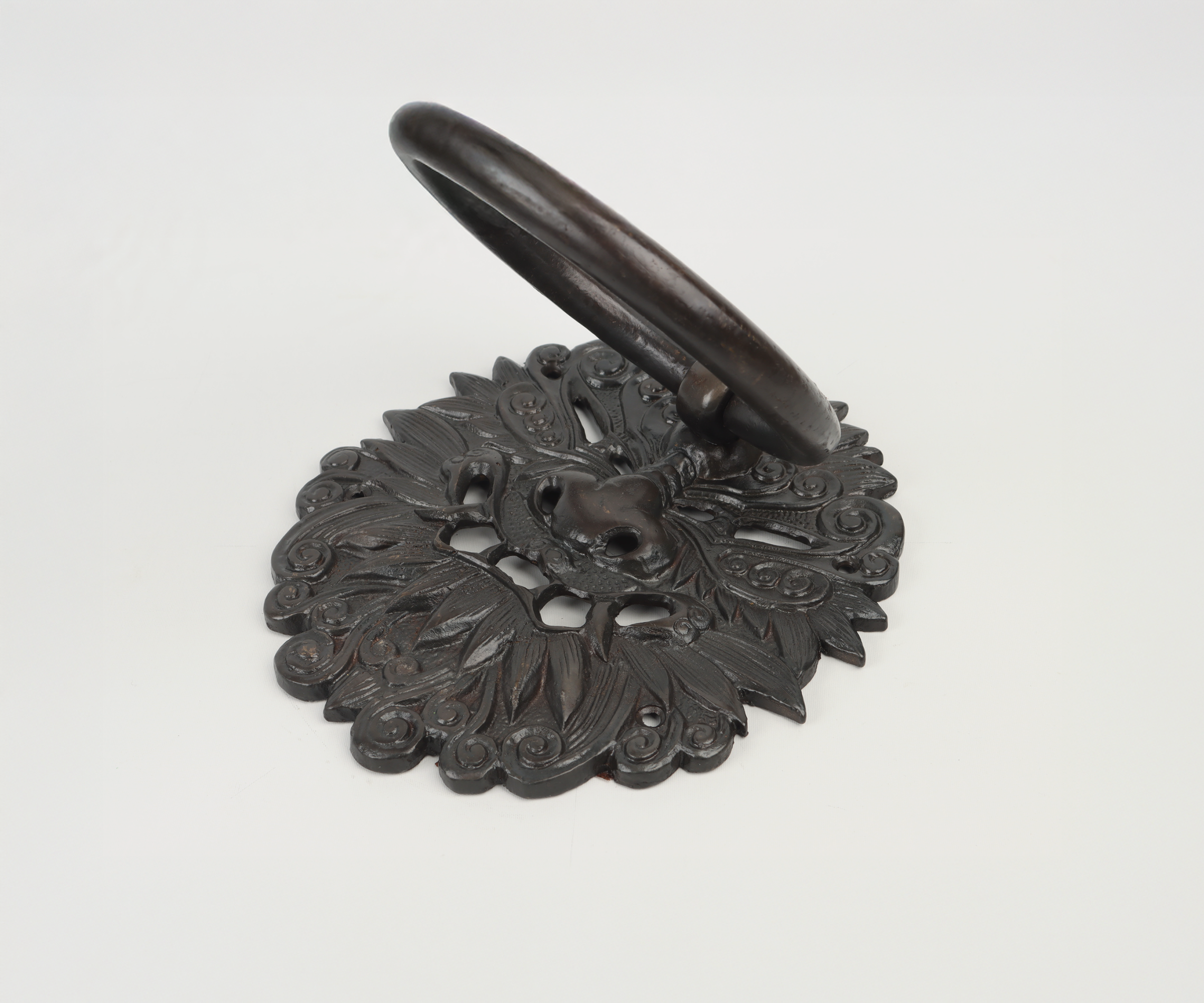 Close-up of a vintage cast iron door knocker featuring a lion's head design, mounted on a decorative backing plate.