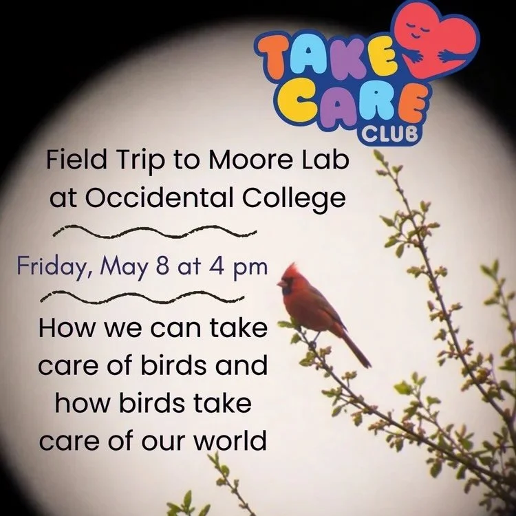 🦜 Take Care Club kids and teens are heading to Moore Laboratory of Zoology at Occidental College on Friday, May 8 at 4 PM for a special field trip all about birds. Led by birder and naturalist Diego Blanco, the field trip will explore bird diversity