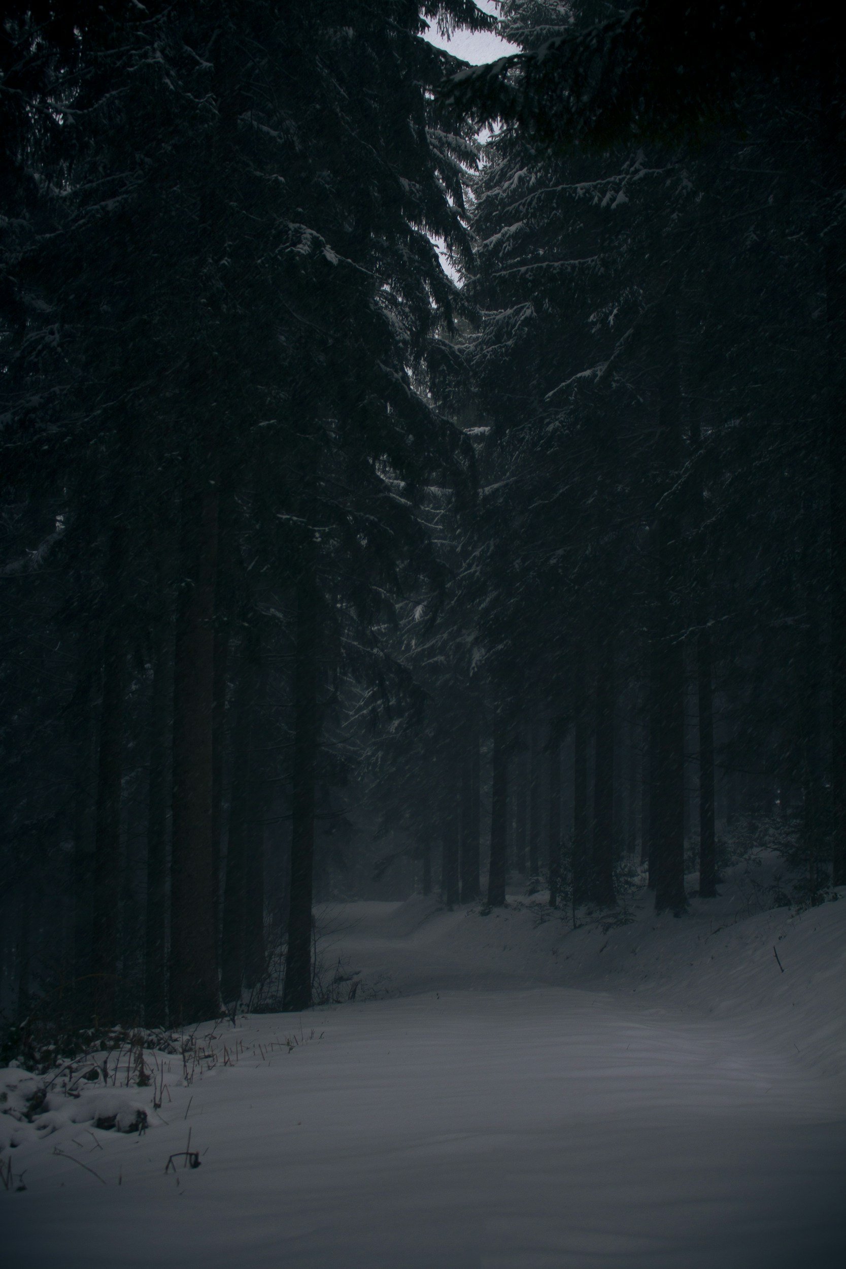 Winter and Cardiology: 'Tis the Season