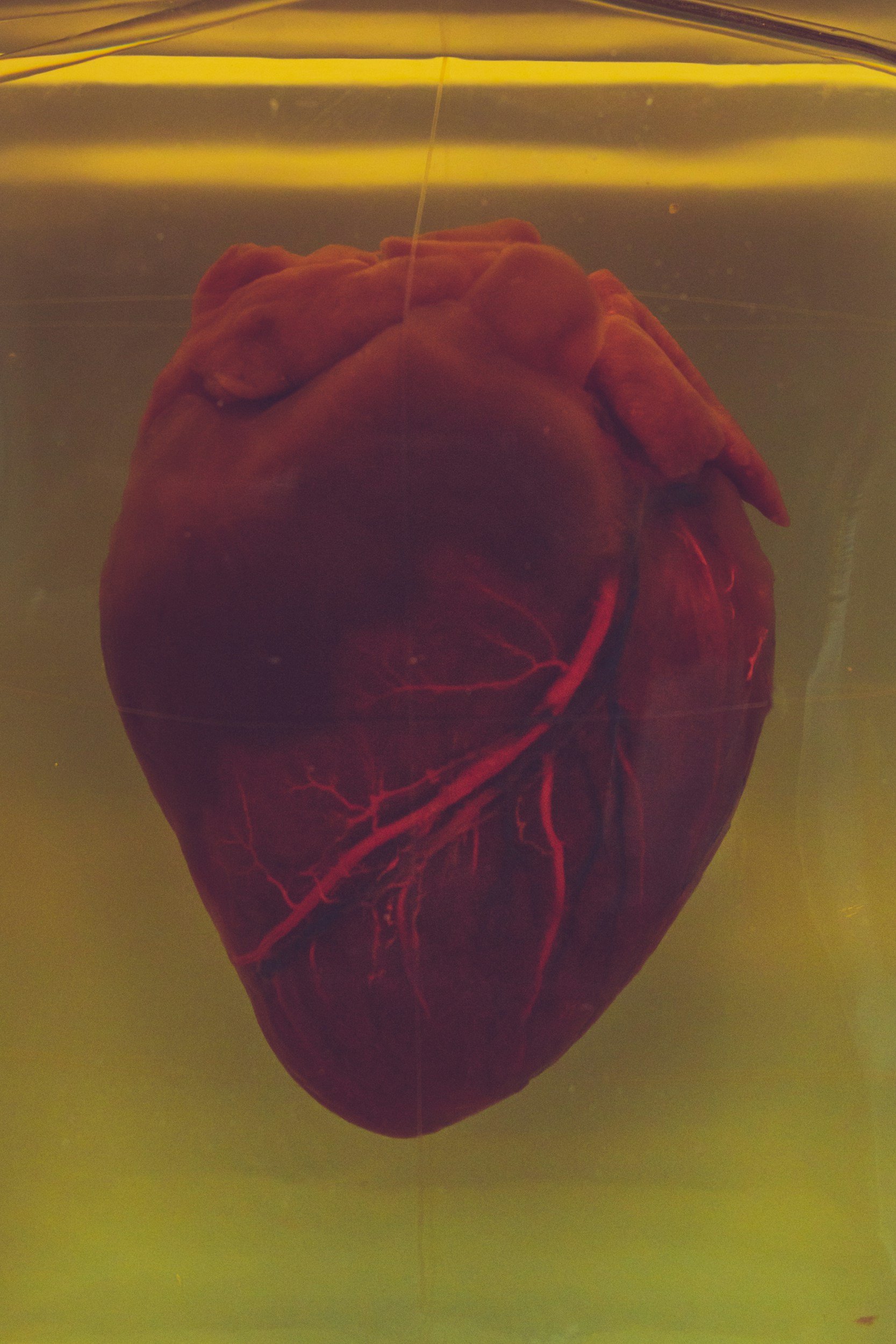 Trust and the Medical Field