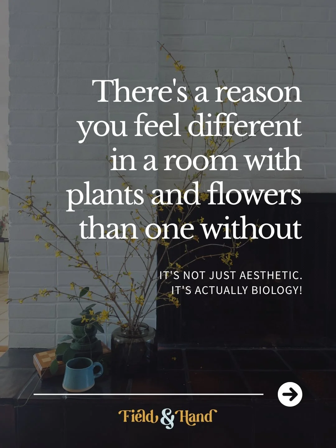 This is something I think about a lot! Honestly the more I learn about it, the more it informs how I interact with flowers.

Biophilic design isn&rsquo;t a buzzword; it&rsquo;s the reason a space with flowers just feels different. And once you unders