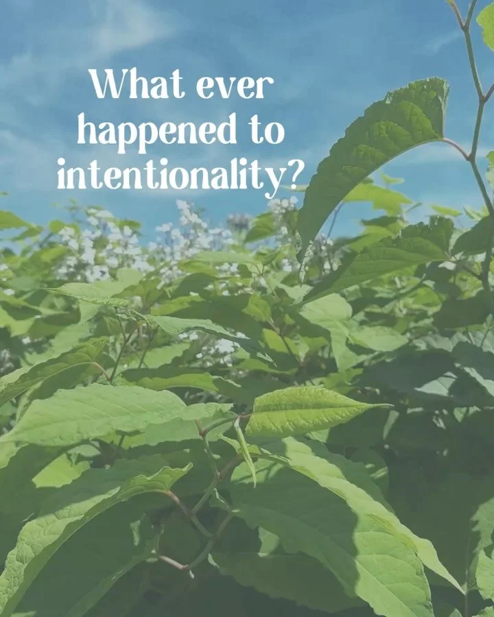 What if giving flowers during a significant occasion was more than just a nice gesture? What if we opened up a whole new level of communicating our feelings, emotions, and intentions, just by pausing to consider that there is more to flowers than jus
