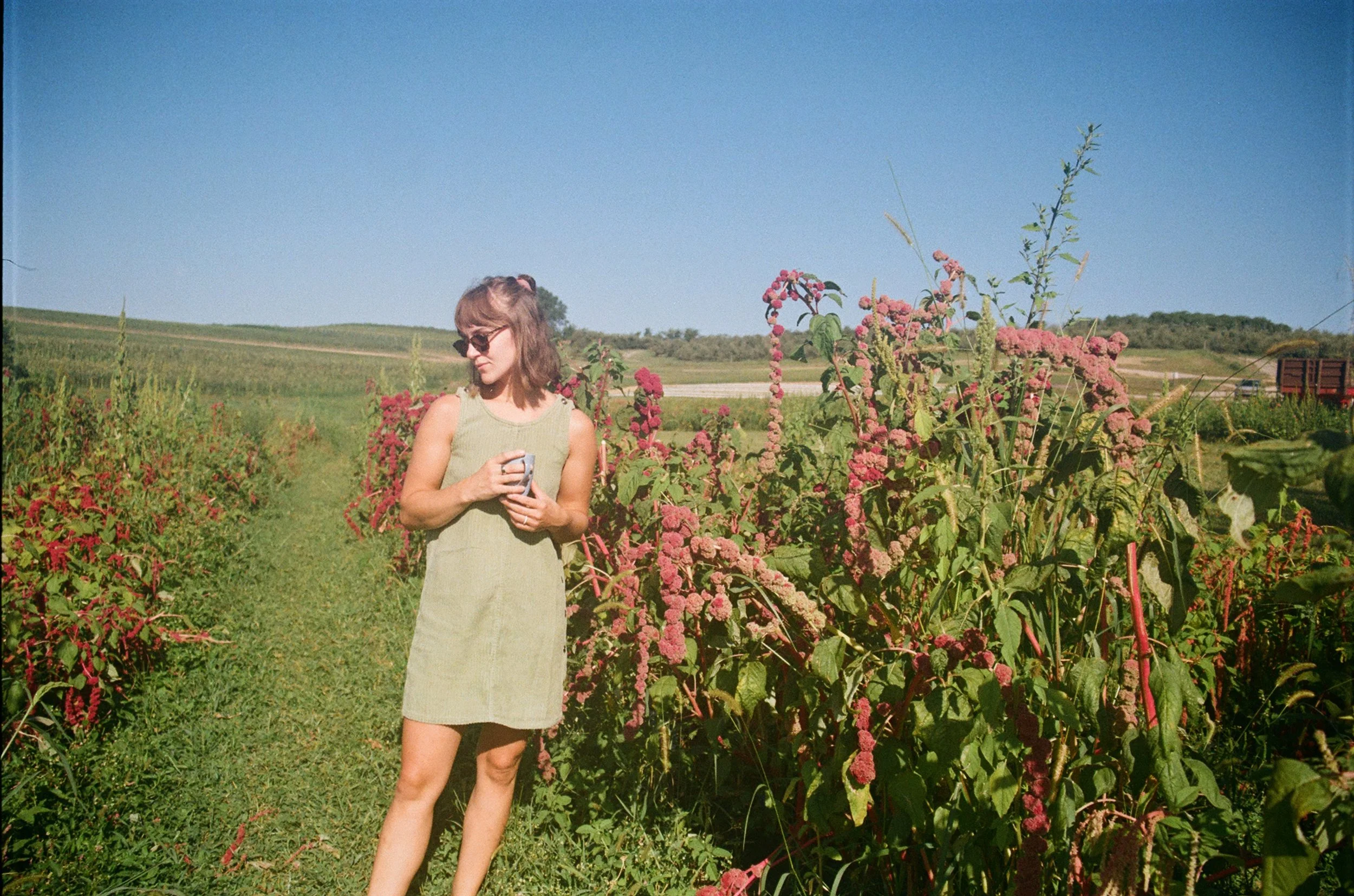 Woman in a field of amaranthus