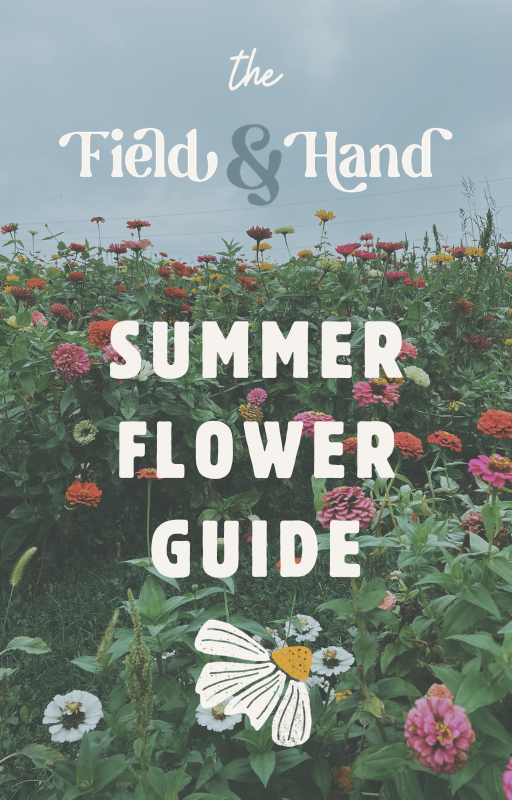 The Field and Hand Summer Flower Guide