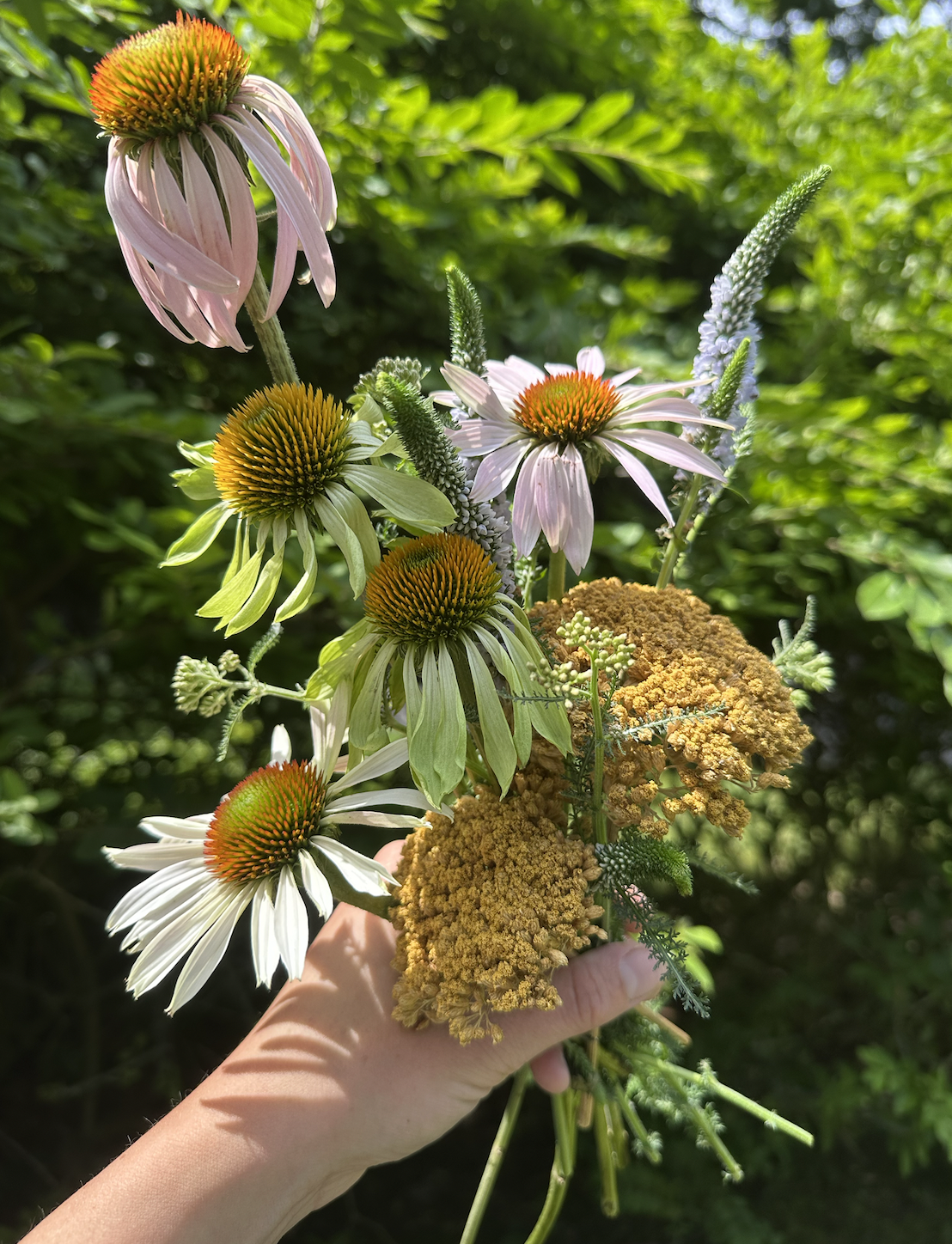 Handpicked bouquet of seasonal summer flowers