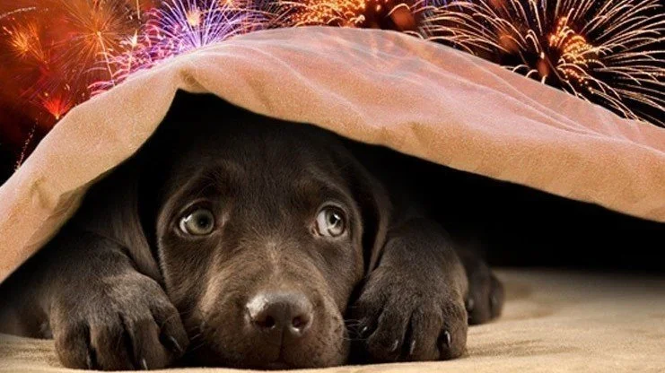 DECEMBER, MESEC VESELJA, A TUDI MESEC SKRBI