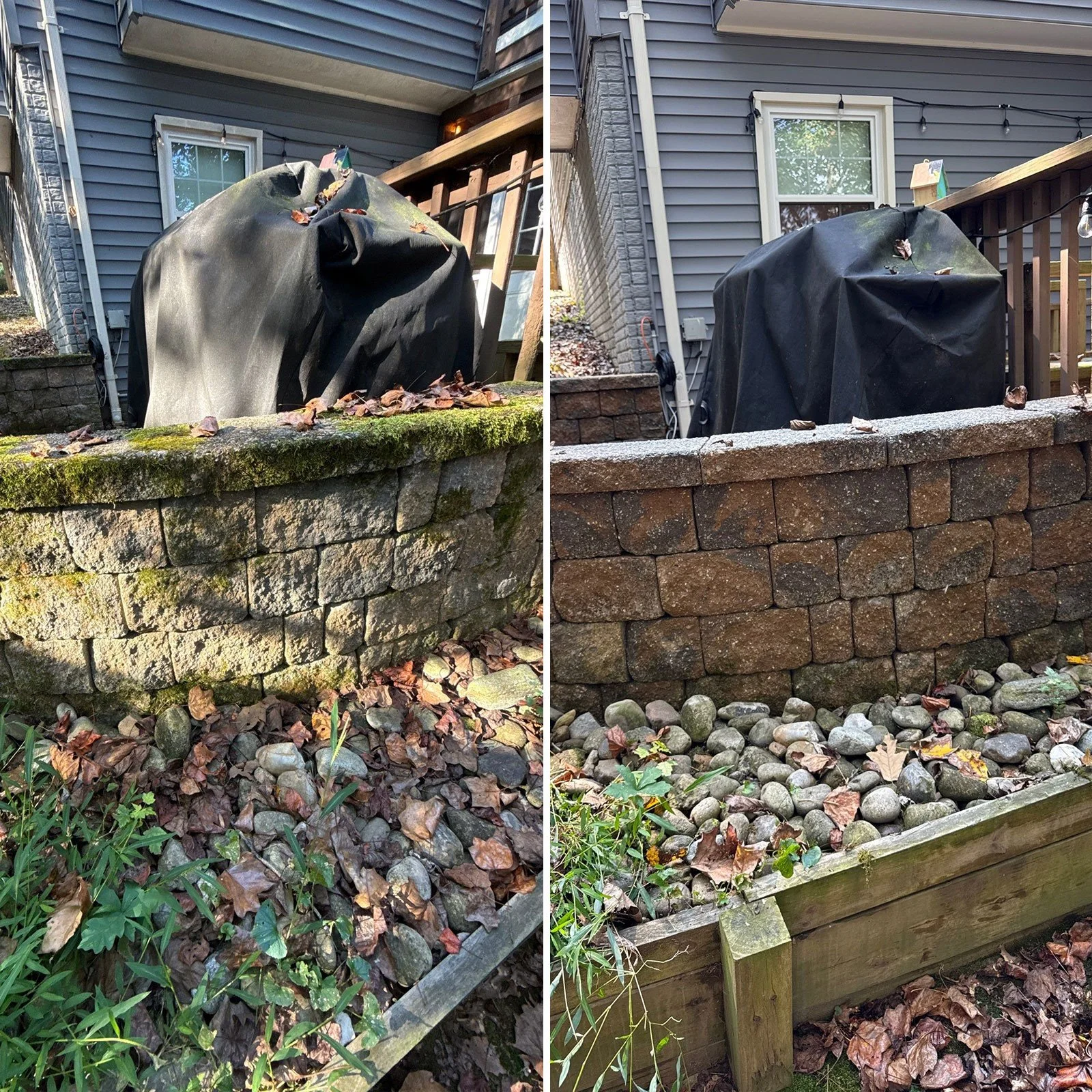 Comparison of two outdoor garden beds with retaining walls, one with moss and fallen leaves on rocks, the other clean with no moss or leaves, showing different maintenance states.