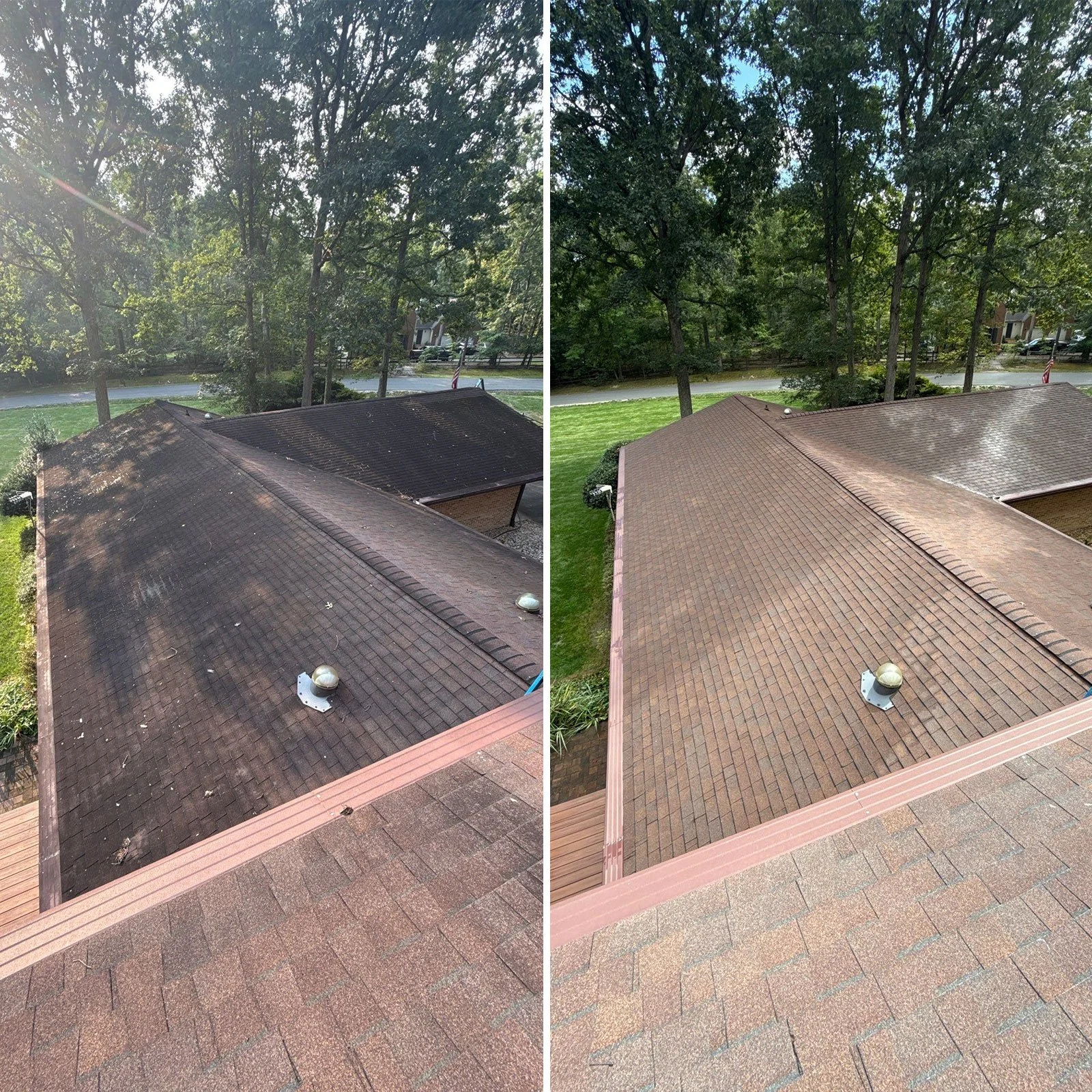 Comparison of two images of a house roof, showing the roof before and after cleaning, with a lush green backyard and trees in the background.