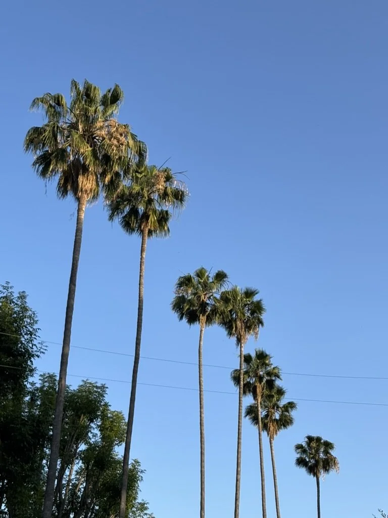 In Every Life I Choose You: A Love Letter to Los Angeles