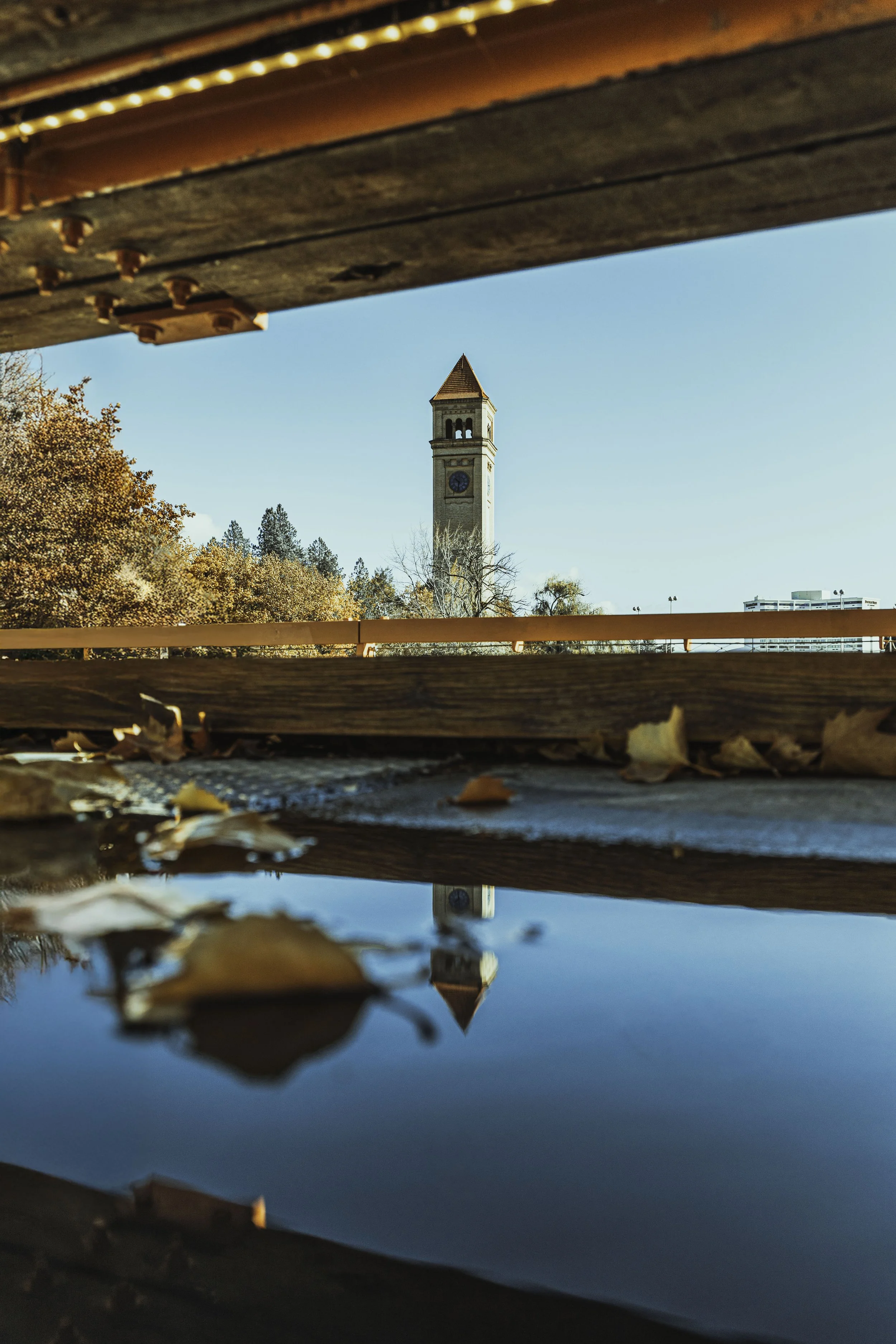 View of a clock tower seen through a gap in wooden planks with autumn leaves and a puddle reflecting the tower