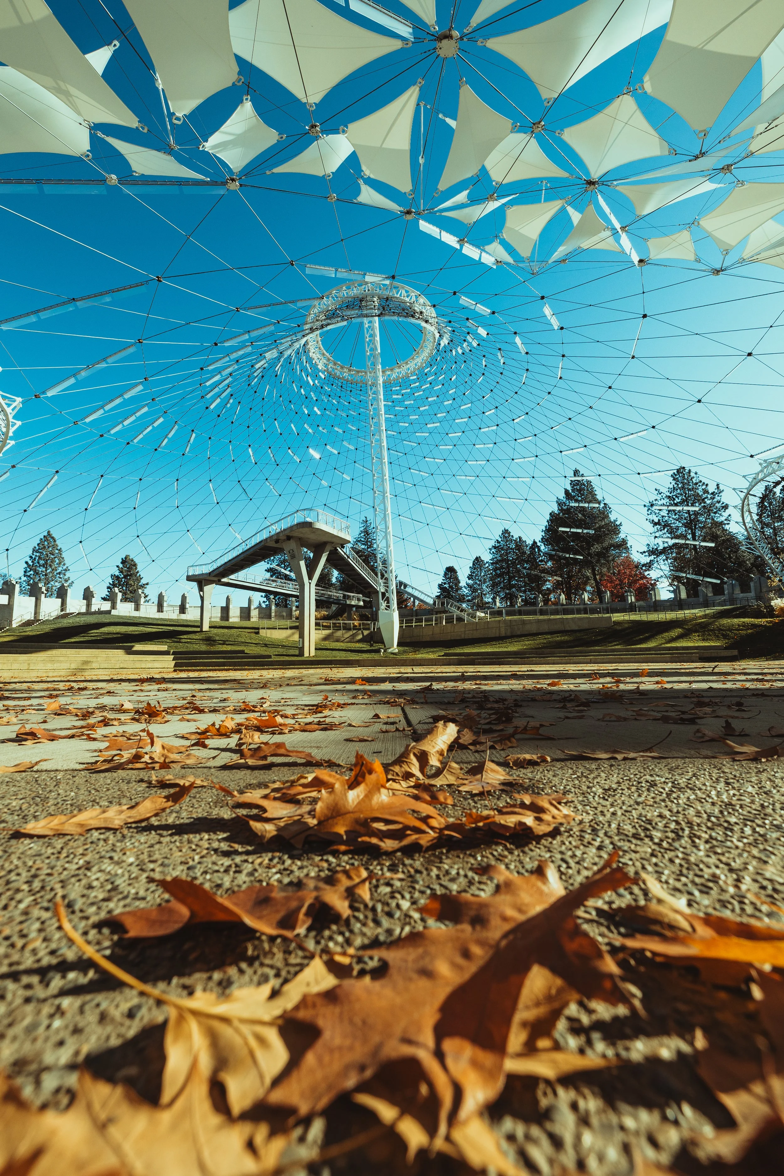 Outdoor art installation with a large, circular, web-like structure and colorful umbrellas overhead, fallen leaves on the ground, trees in the background, clear blue sky