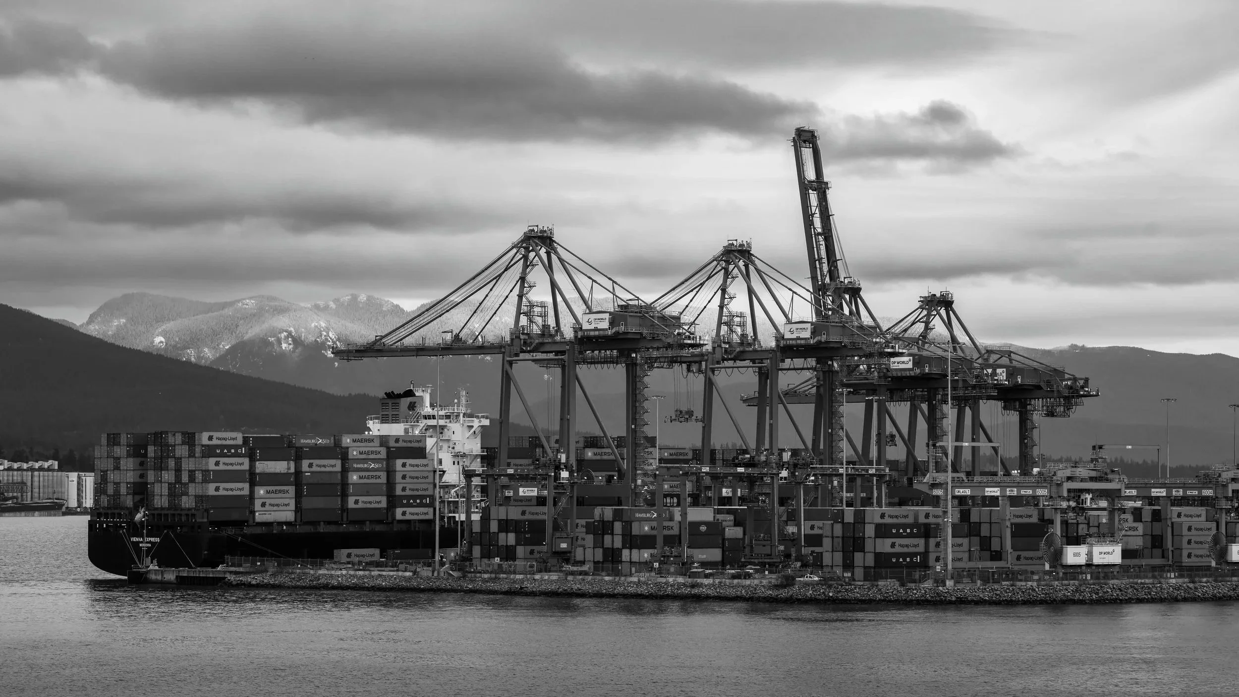 International Trade Compliance and Enforcement. 
Shipping port with stacked containers, large cranes, and a cargo ship.