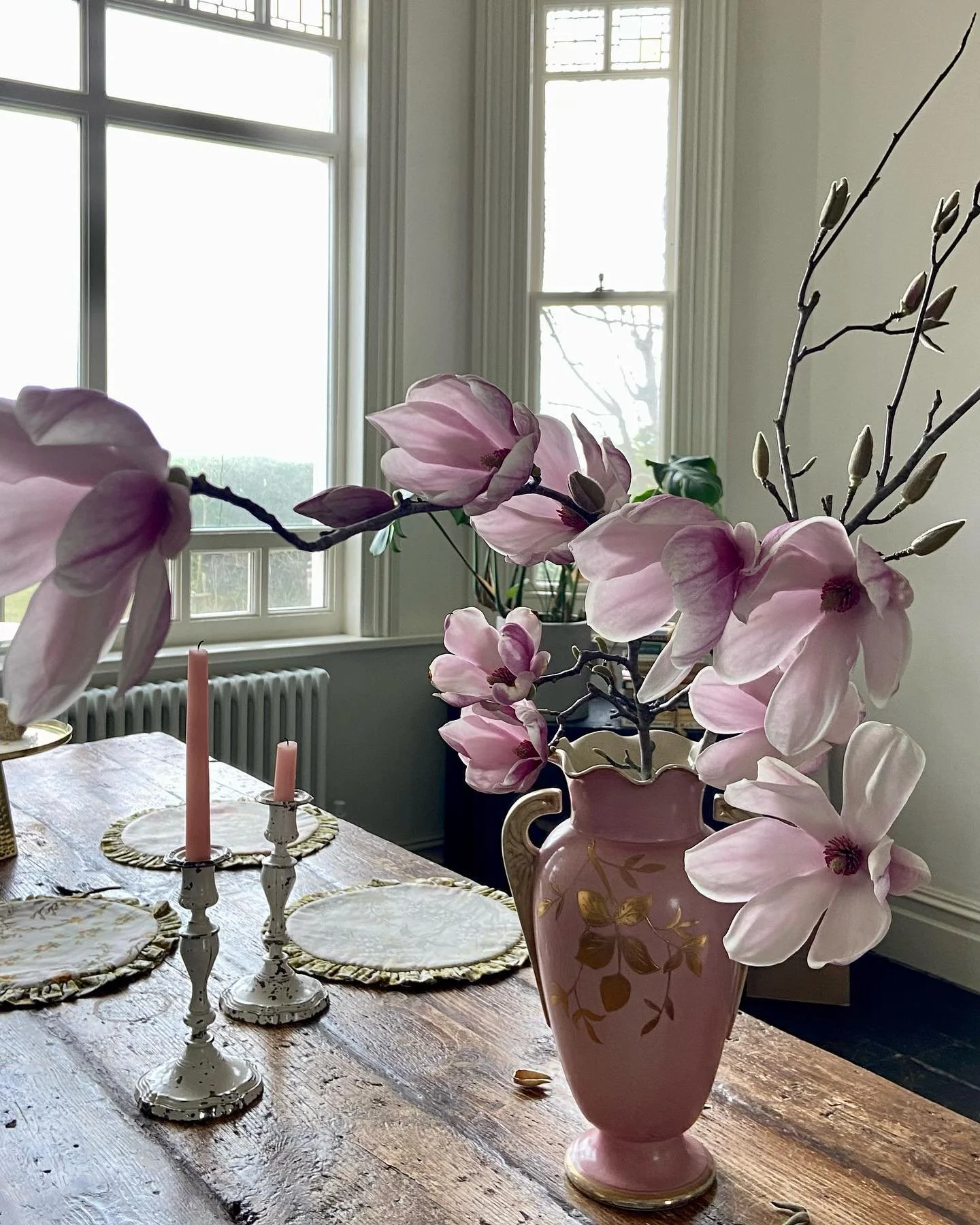 Besotted

#magnolia
#seatowerbungalow