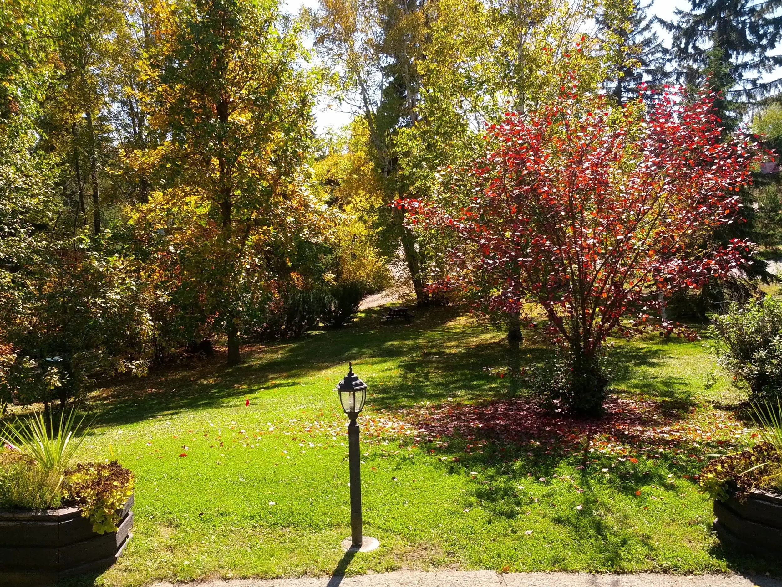 A view of the Museum's grounds